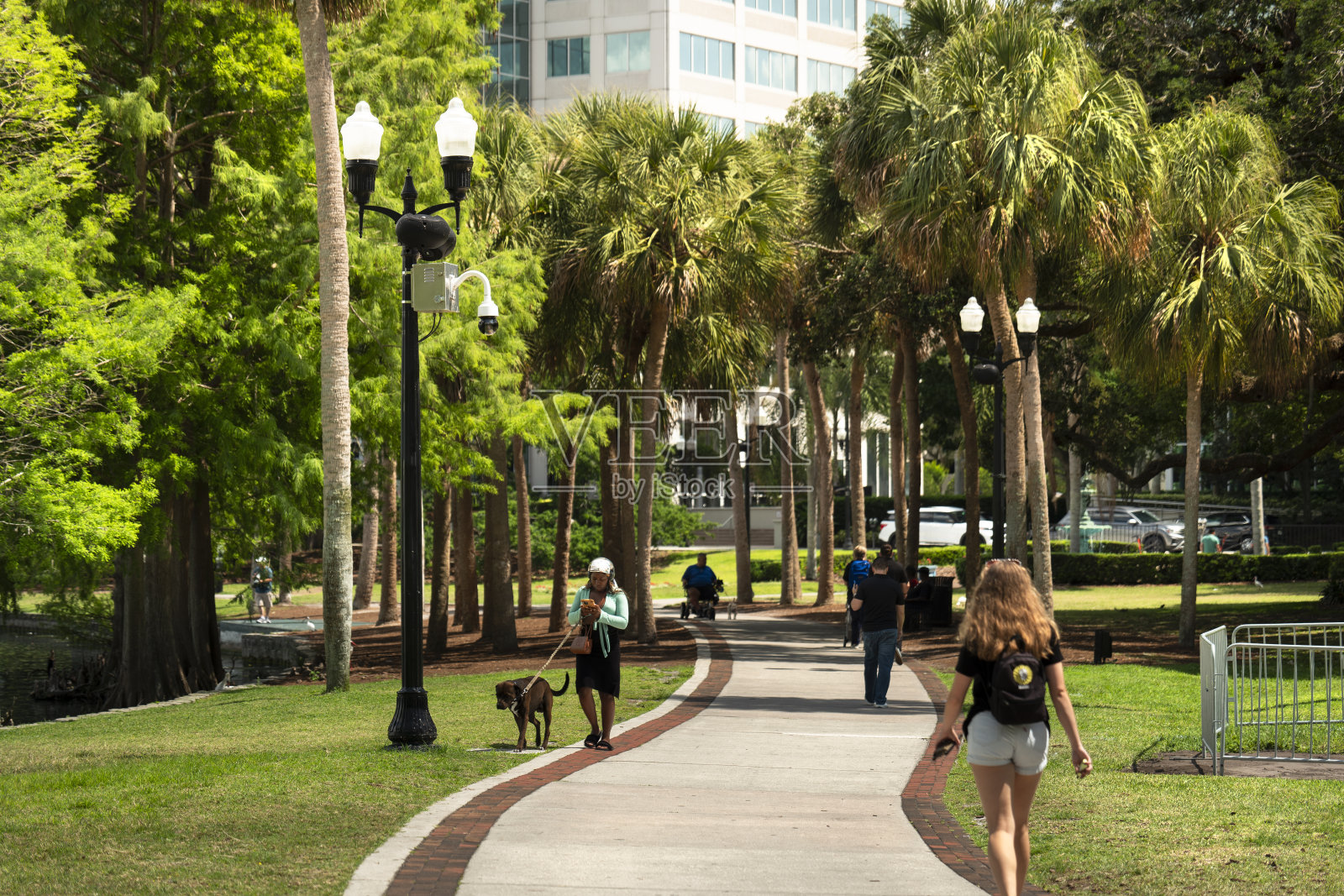 人们沿着佛罗里达州奥兰多市中心Eola湖公园的小路散步照片摄影图片