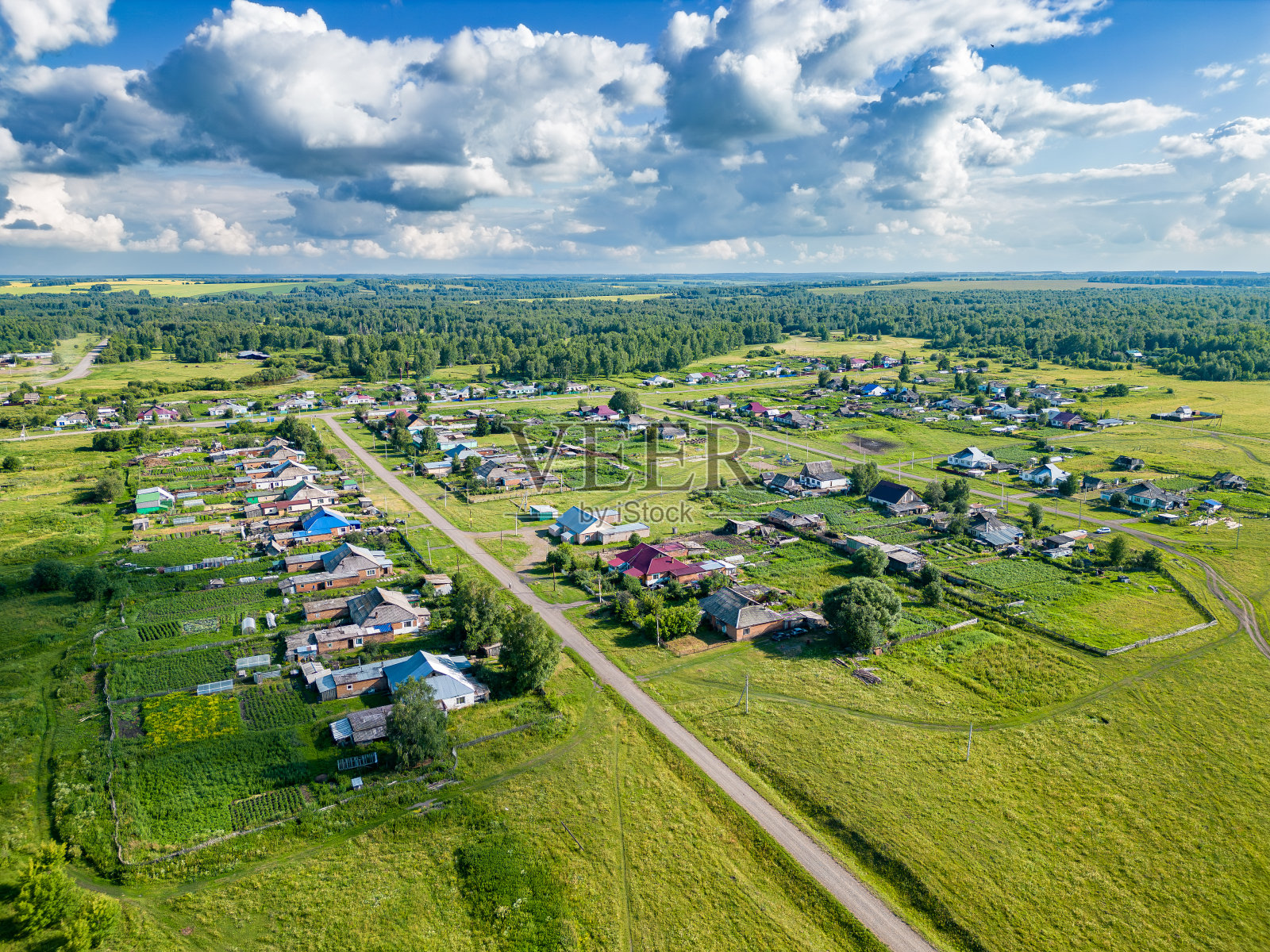 街道上稀疏的房屋被绿色植物包围照片摄影图片