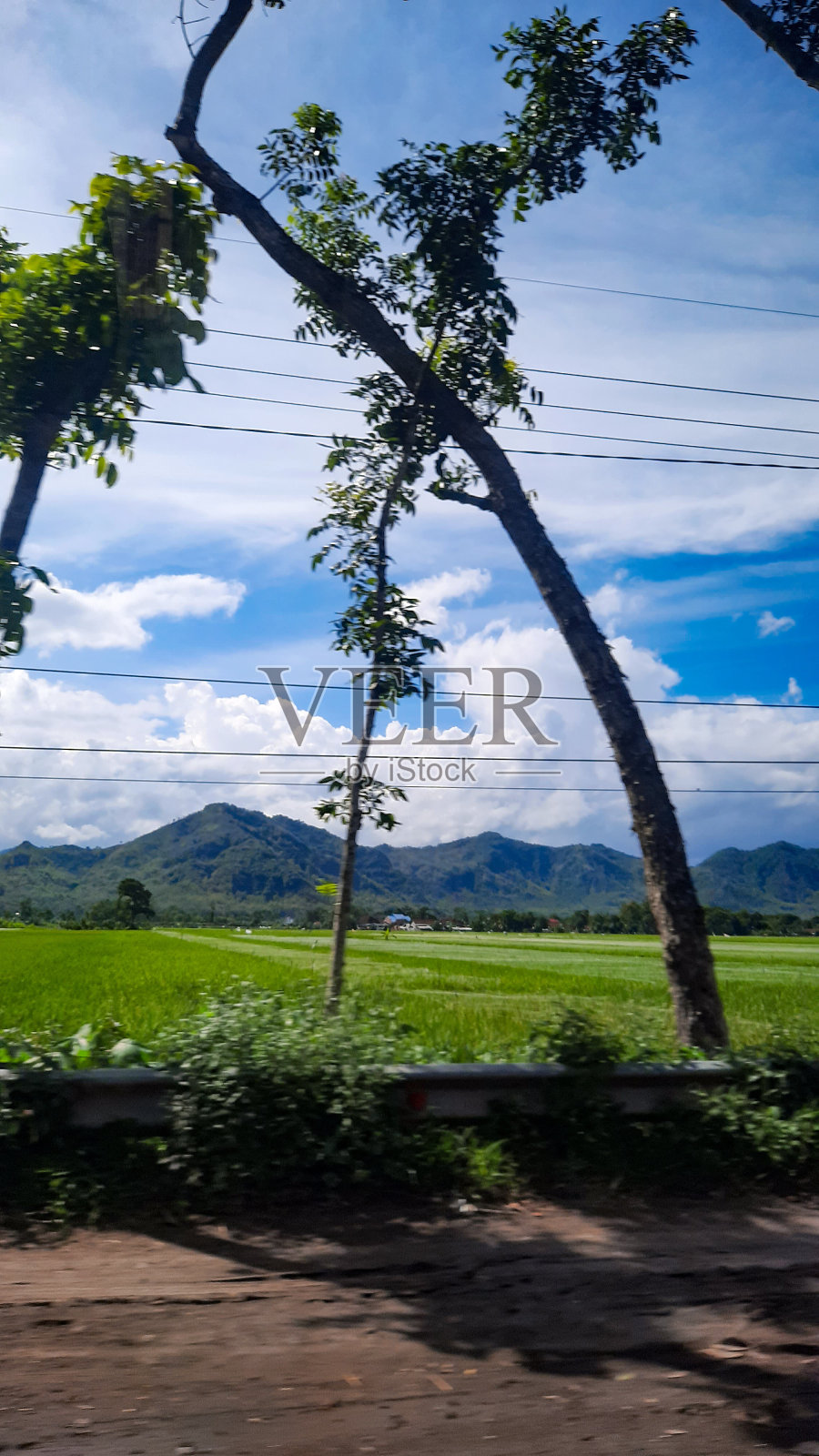 稻田和山脉照片摄影图片