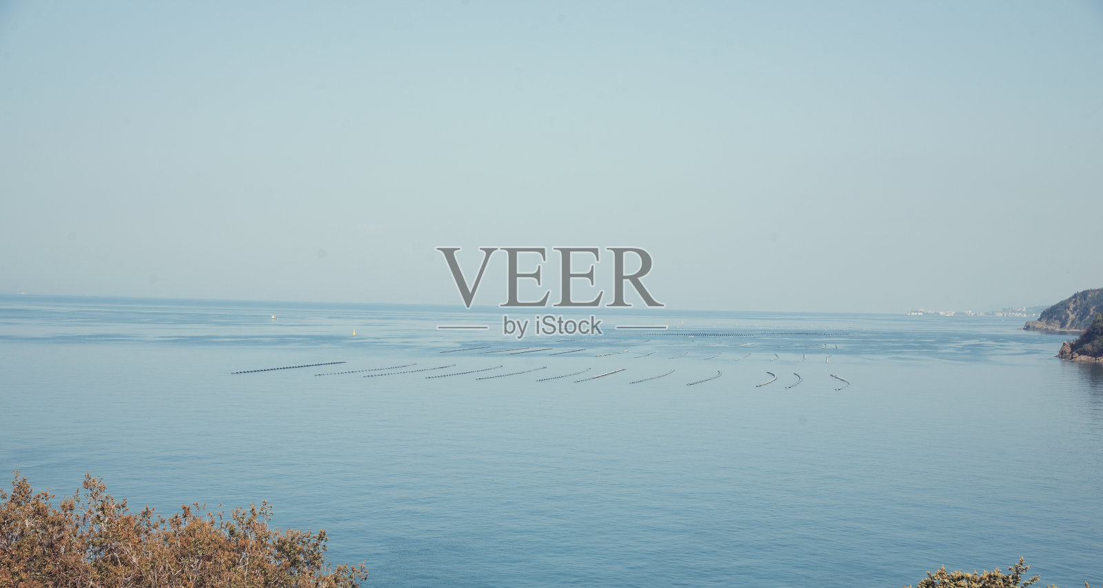 海里的养鱼场，用网围起来。照片摄影图片