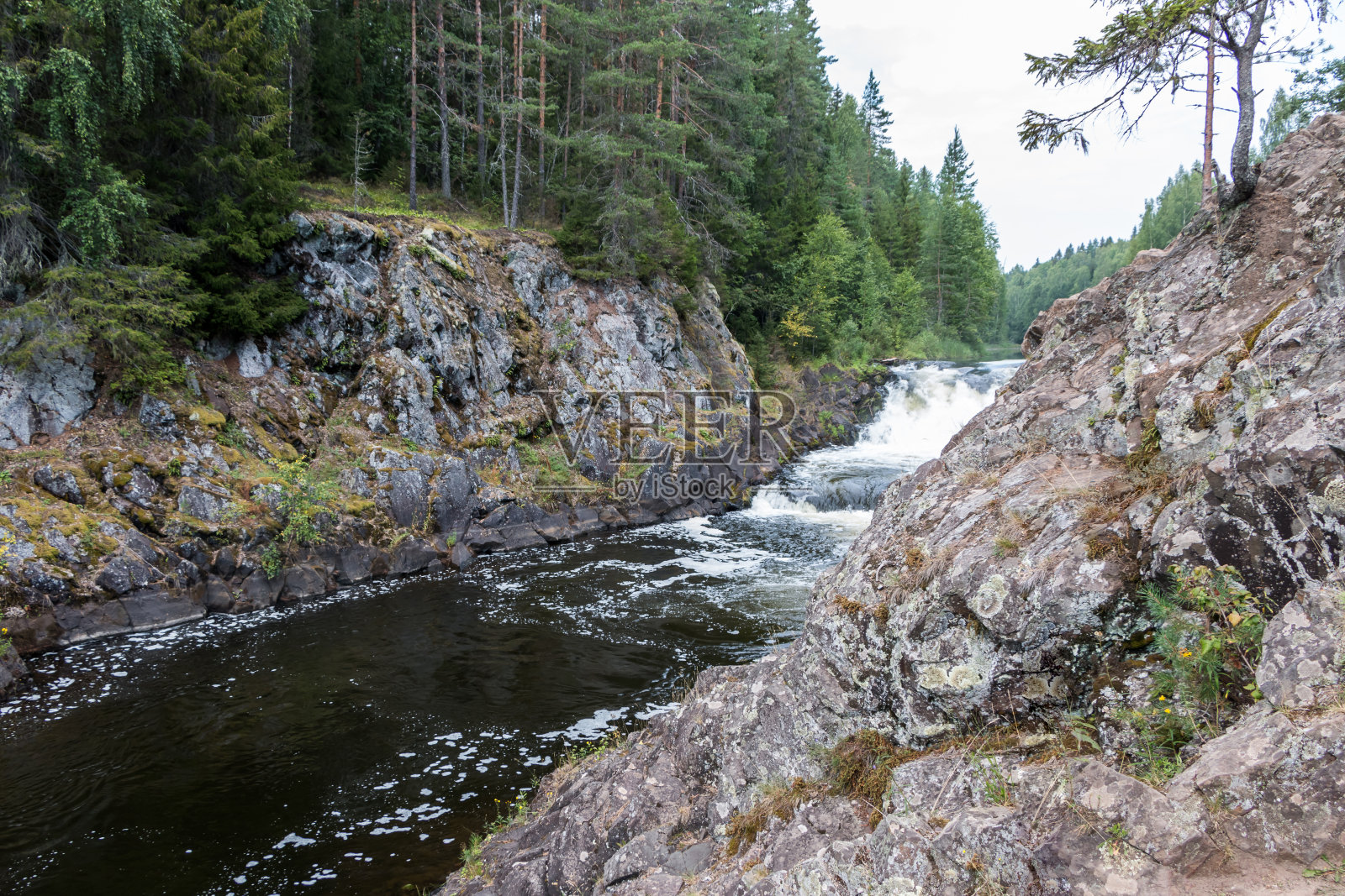 美丽的风景与瀑布在夏季北部森林。强大的水流在岩石和绿叶之间。俄罗斯卡累利阿苏纳河上的基瓦奇瀑布。照片摄影图片