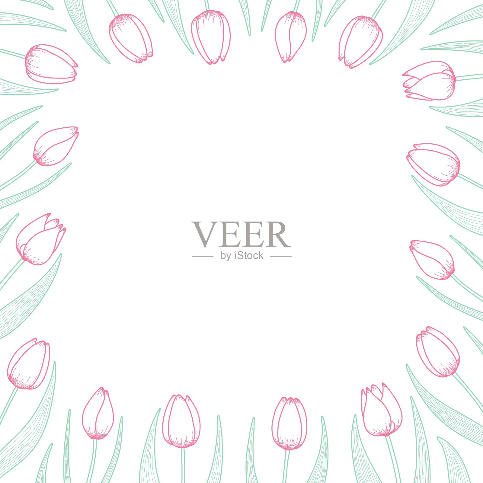 郁金香花框，边框插画图片素材