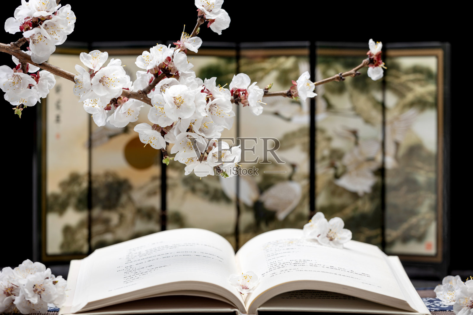 书照片摄影图片