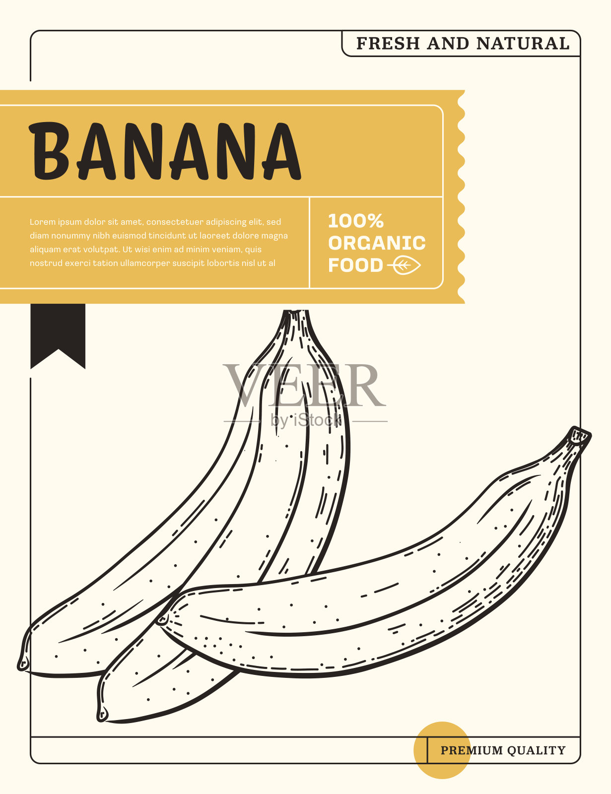 香蕉草图图标包装设计模板插画图片素材