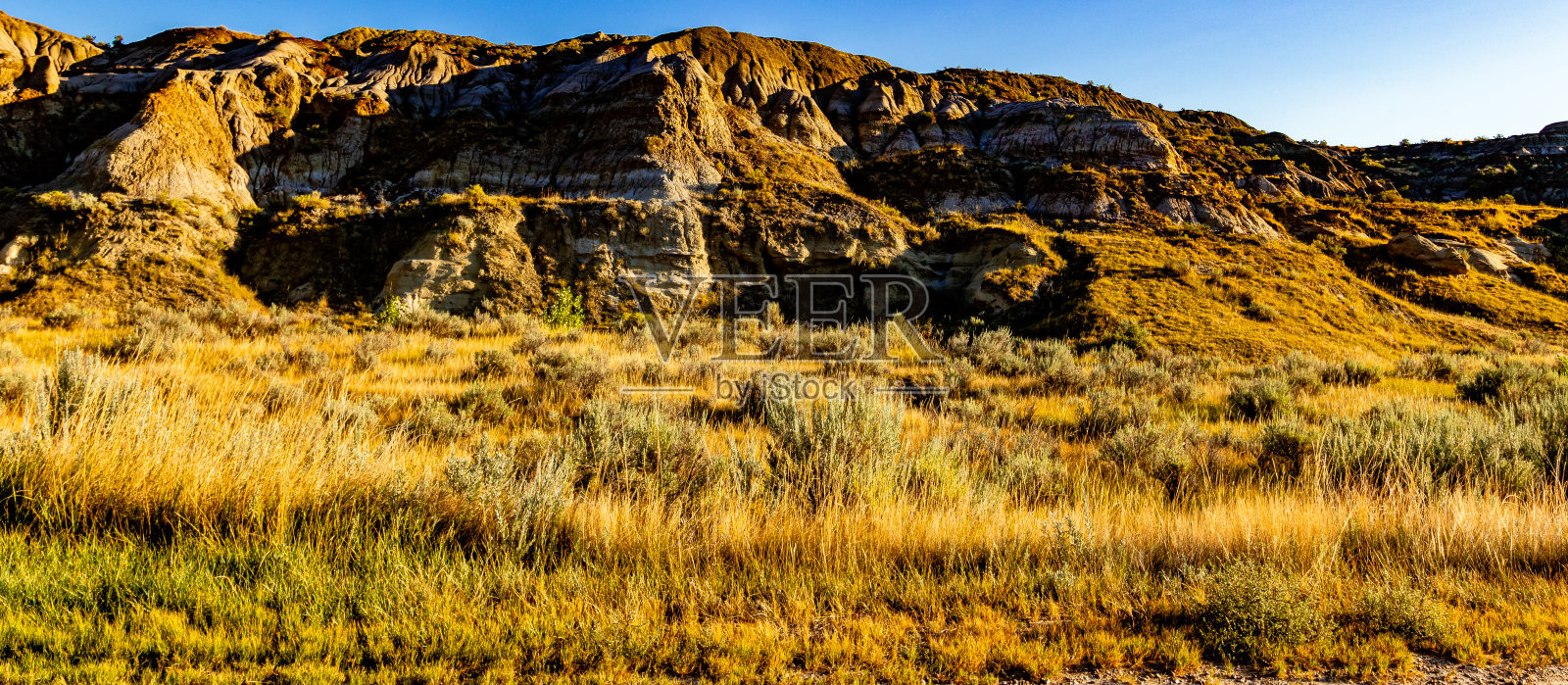 加拿大亚伯达省恐龙省立公园照片摄影图片