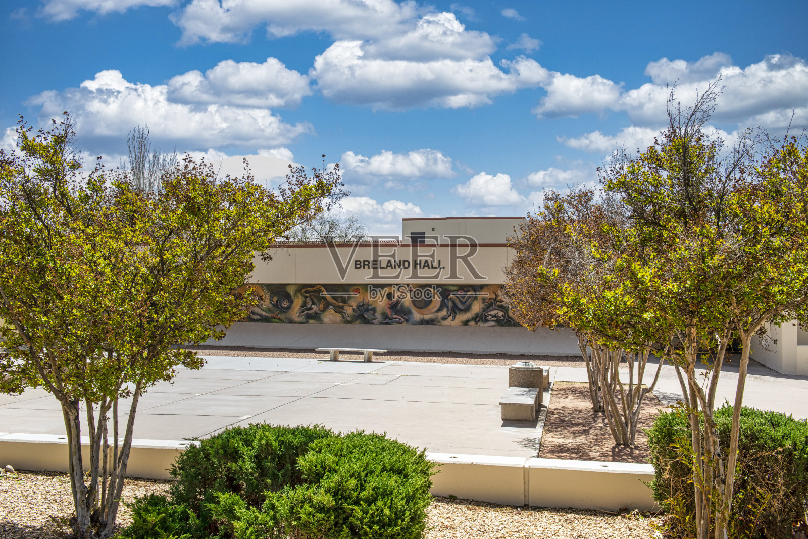 位于新墨西哥州拉斯克鲁塞斯的新墨西哥州立大学校园内的布里兰大厅照片摄影图片
