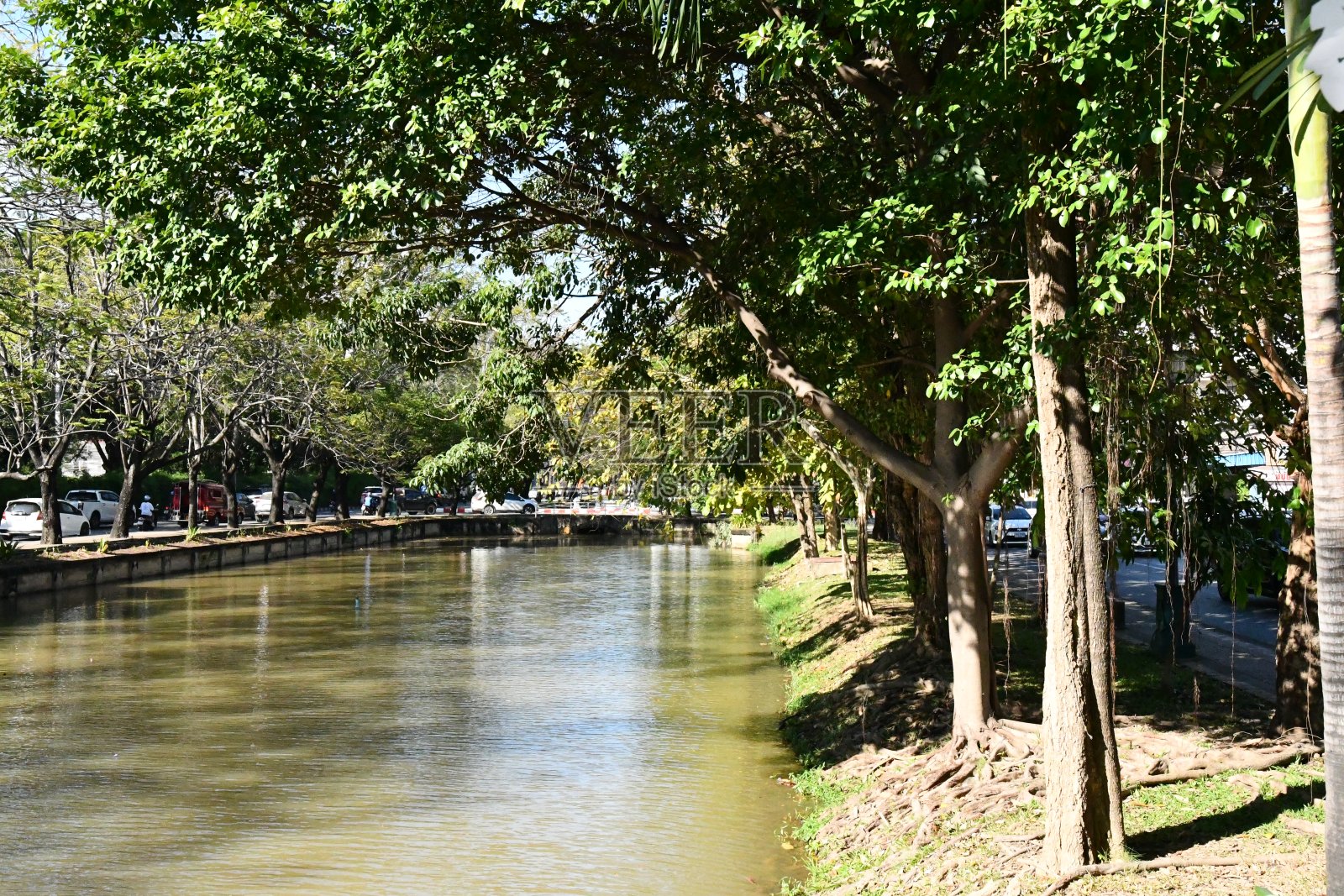 清迈市中心的运河照片摄影图片