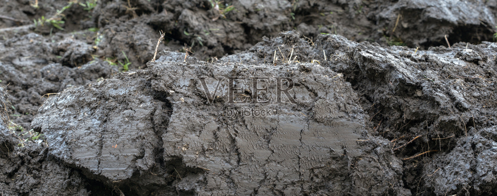 肥沃的黑土，是大自然赐予丰收的宝藏。照片摄影图片