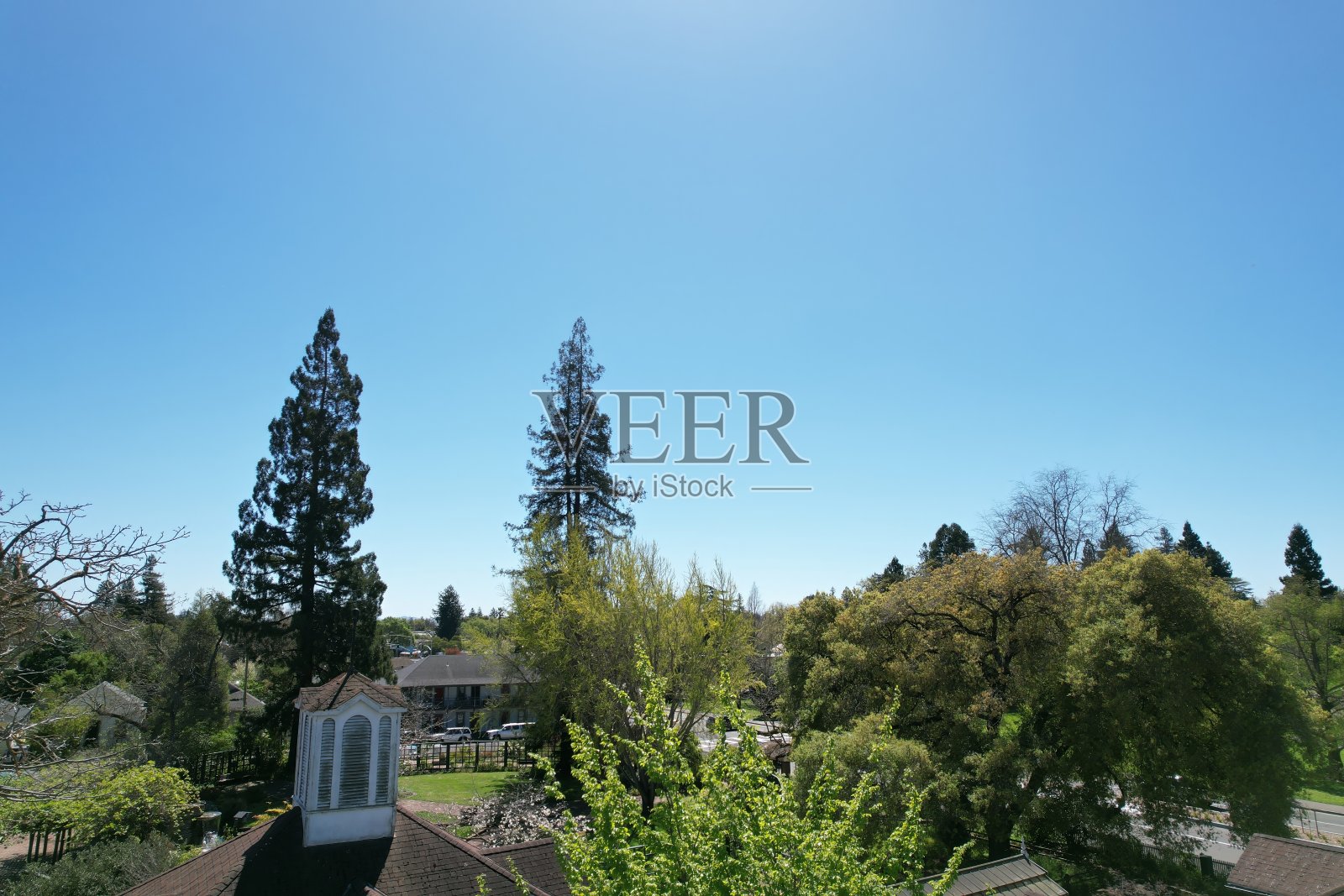 航拍路德伯班克公园和建筑，圣罗莎，加州，美国照片摄影图片