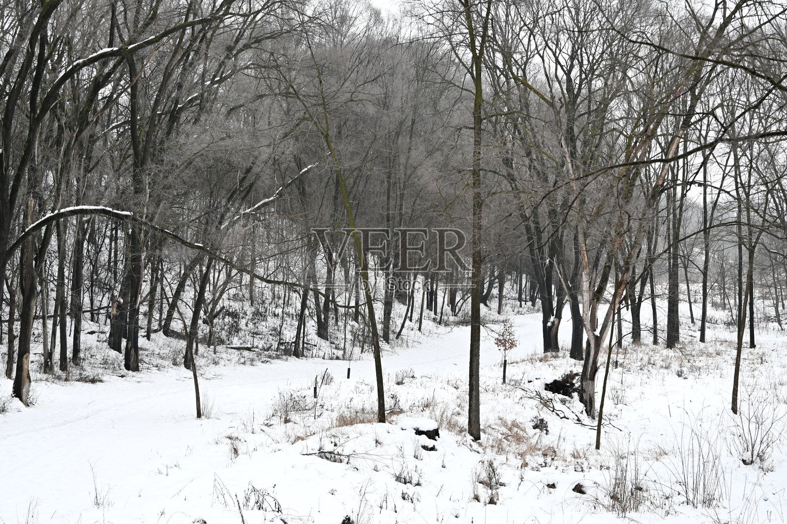 积雪覆盖的自行车道照片摄影图片
