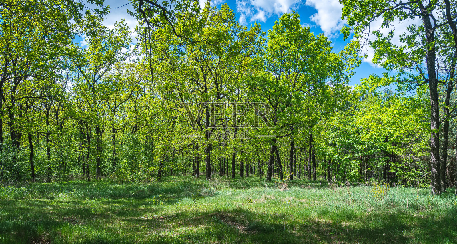 夏天的风景照片摄影图片