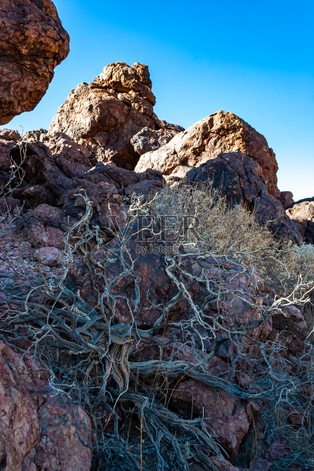 加州死亡谷国家公园附近山谷中岩石沙漠中的干旱沙漠植被照片摄影图片