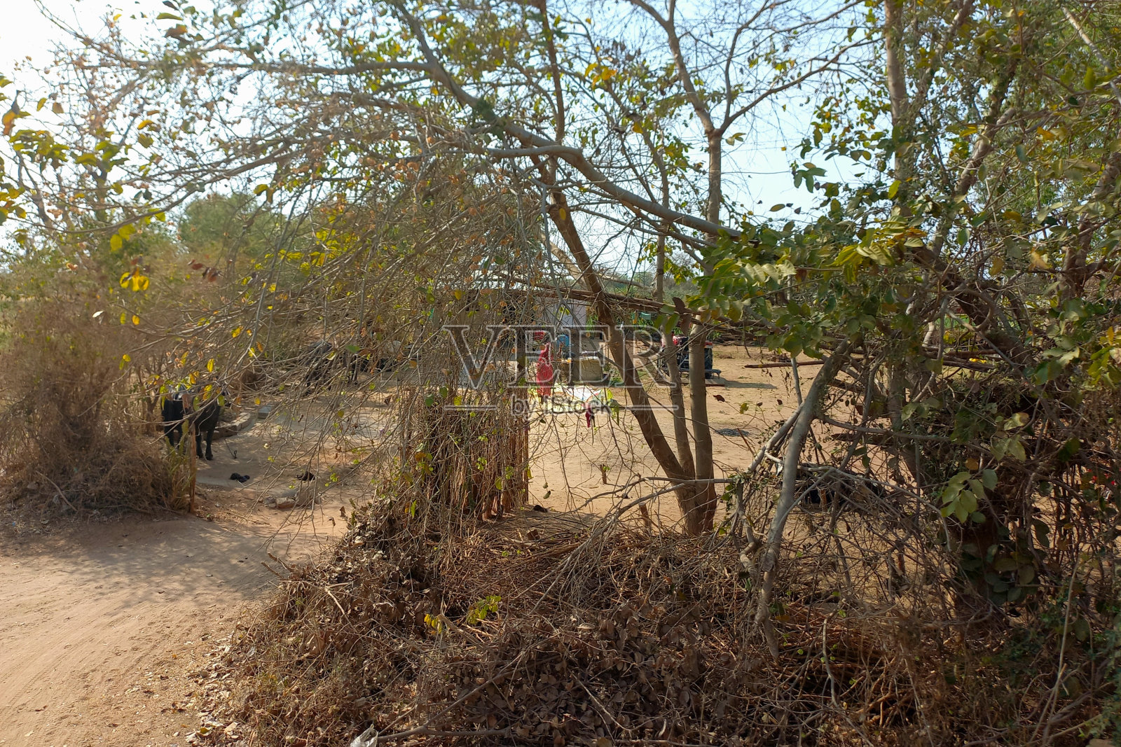 4月24日公路旅行B照片摄影图片