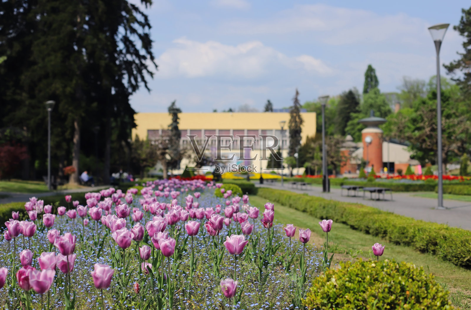 公园里的春天，vnjacka Banja -塞尔维亚照片摄影图片