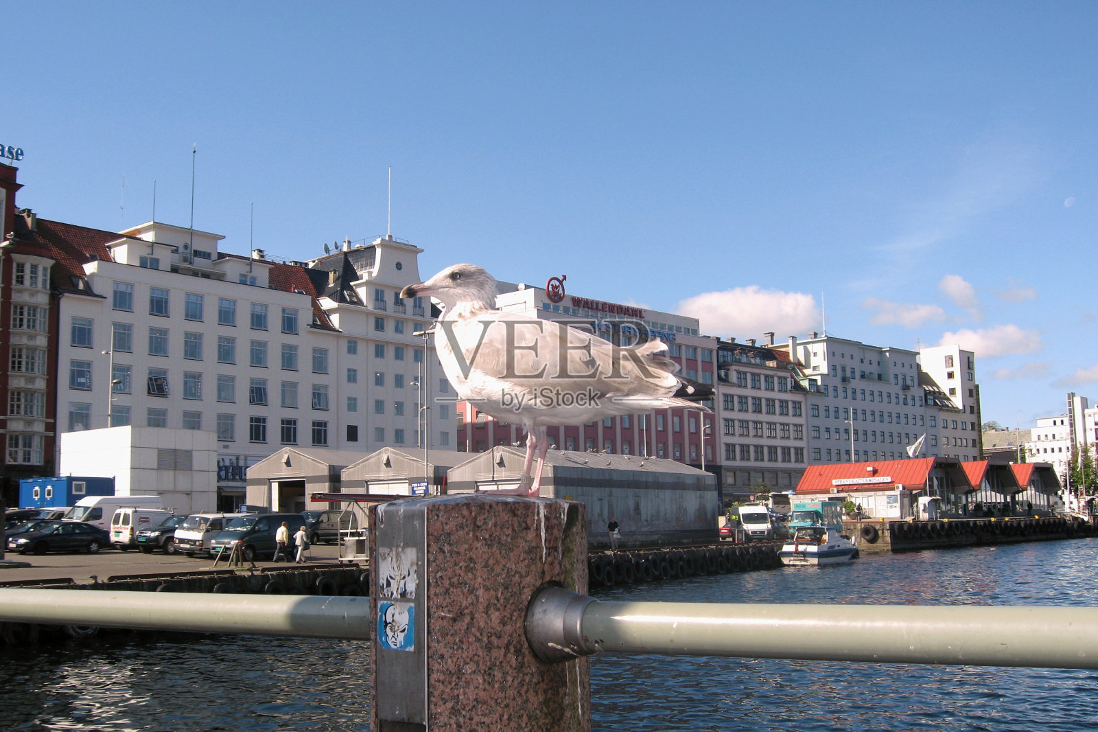 海鸥站在布莱根港中心的码头上。卑尔根，挪威- 2008年8月22日照片摄影图片