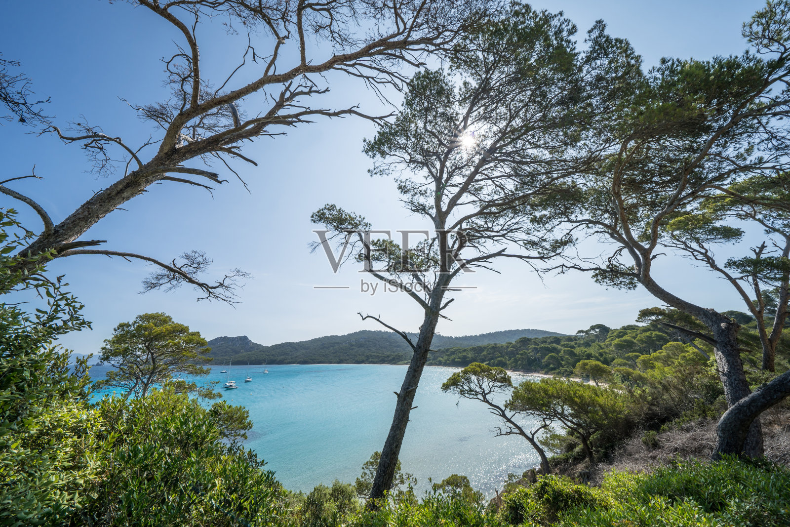 美丽的巴黎圣母院海滩(Plage Notre-Dame)，位于法国Porquerolles岛(l' <e:1> le de Porquerolles)照片摄影图片