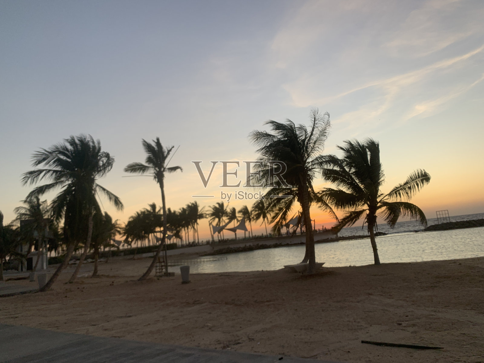 海边池塘棕榈树天空照片摄影图片