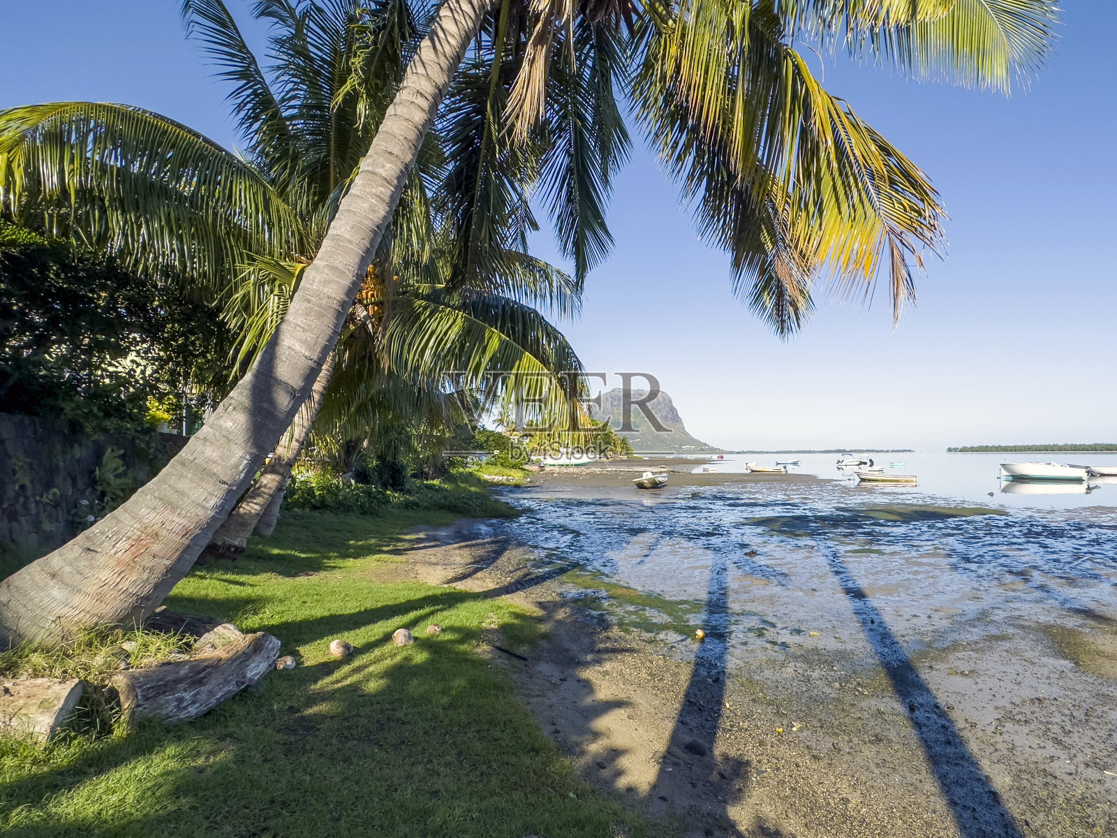 从毛里求斯的拉高莱特俯瞰莫恩布拉班特山照片摄影图片