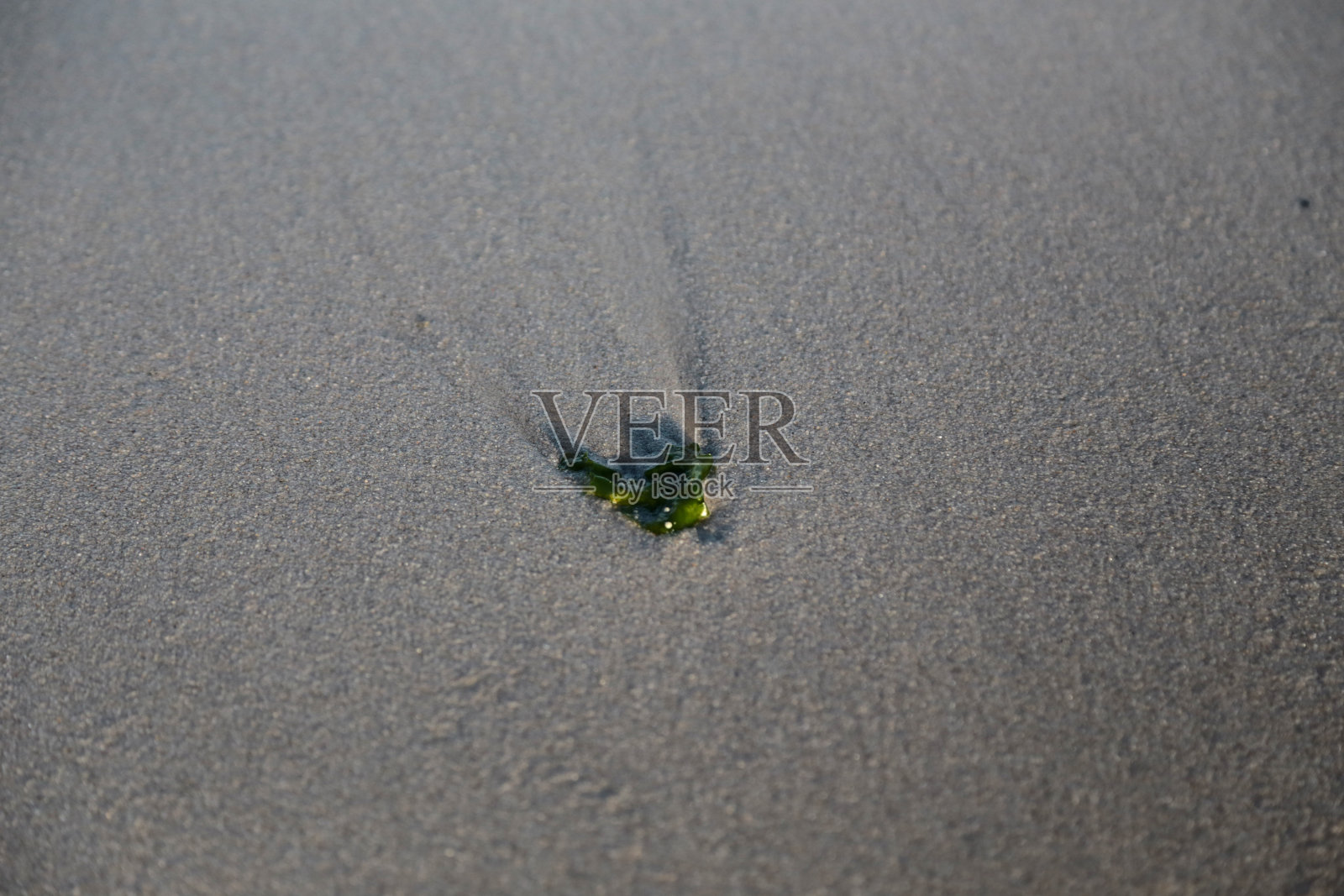 Sylt岛照片摄影图片