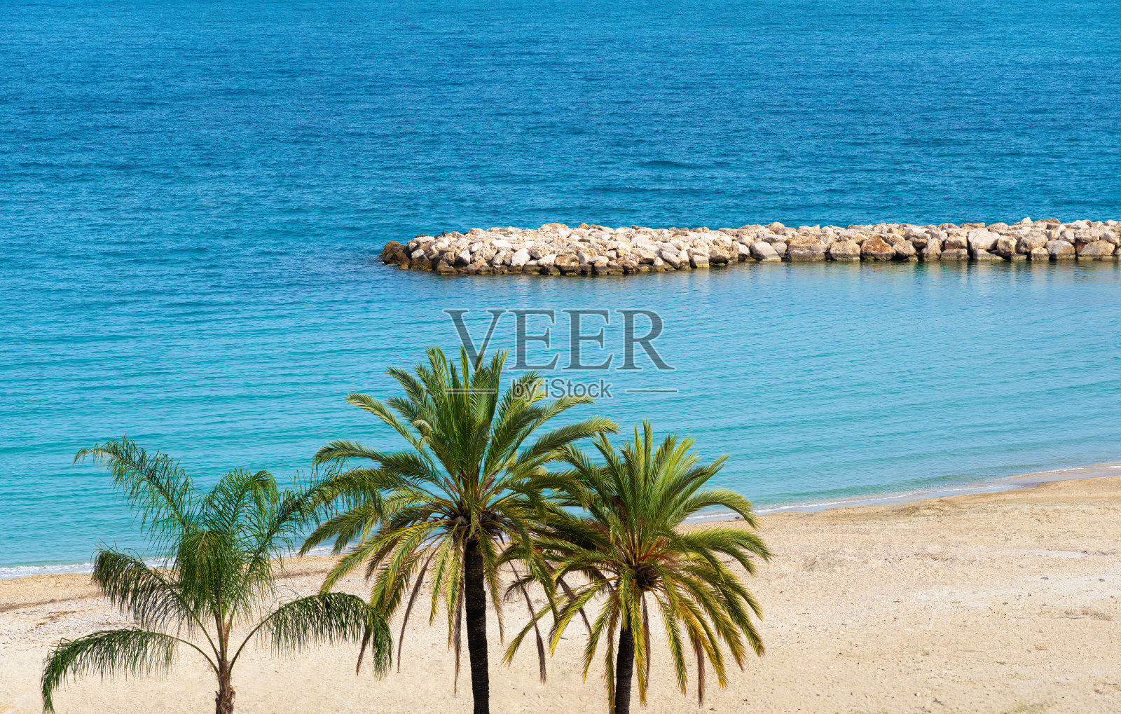 空荡荡的地中海海滩上的棕榈树照片摄影图片