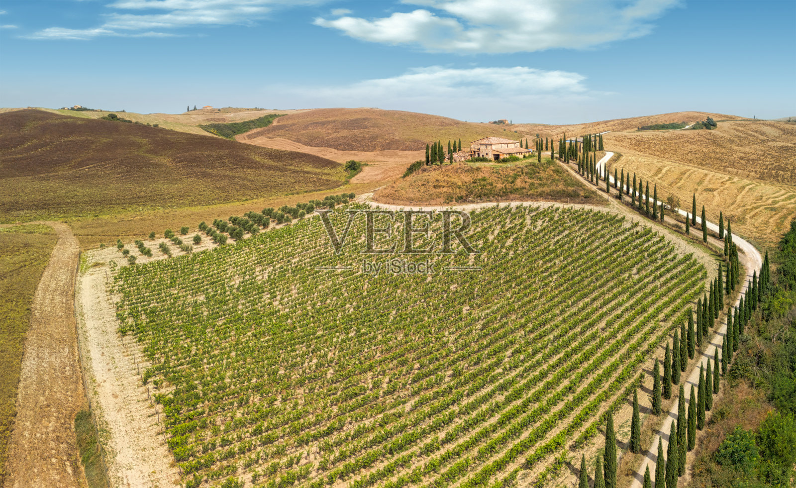 意大利，柏树道路上的托斯卡纳风景照片摄影图片