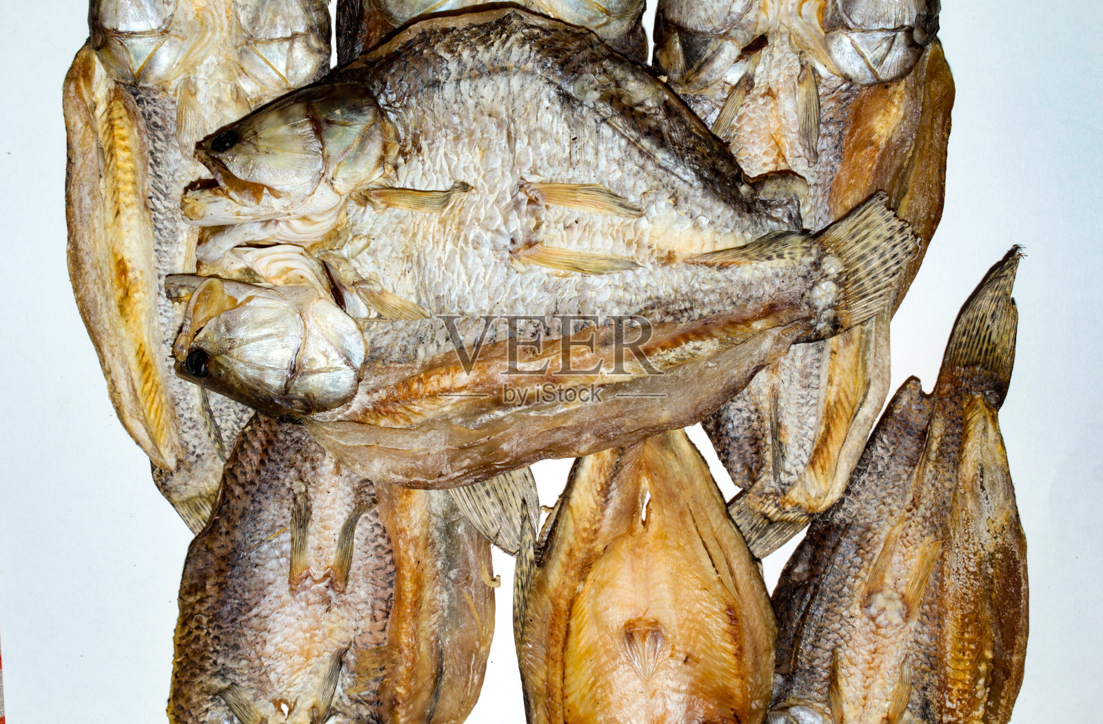 食肉淡水鱼照片摄影图片