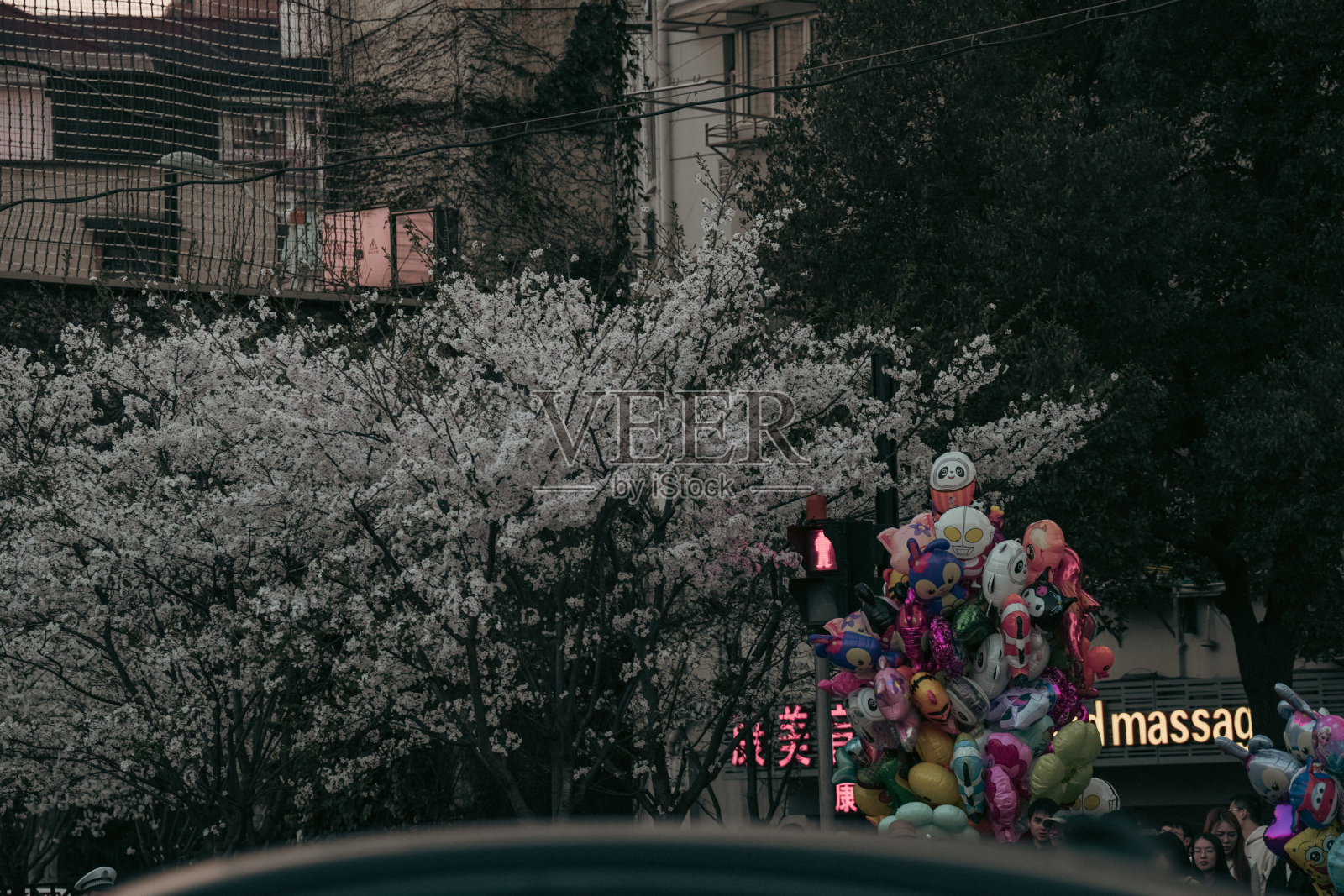 公园外十字路口的樱花和气球照片摄影图片