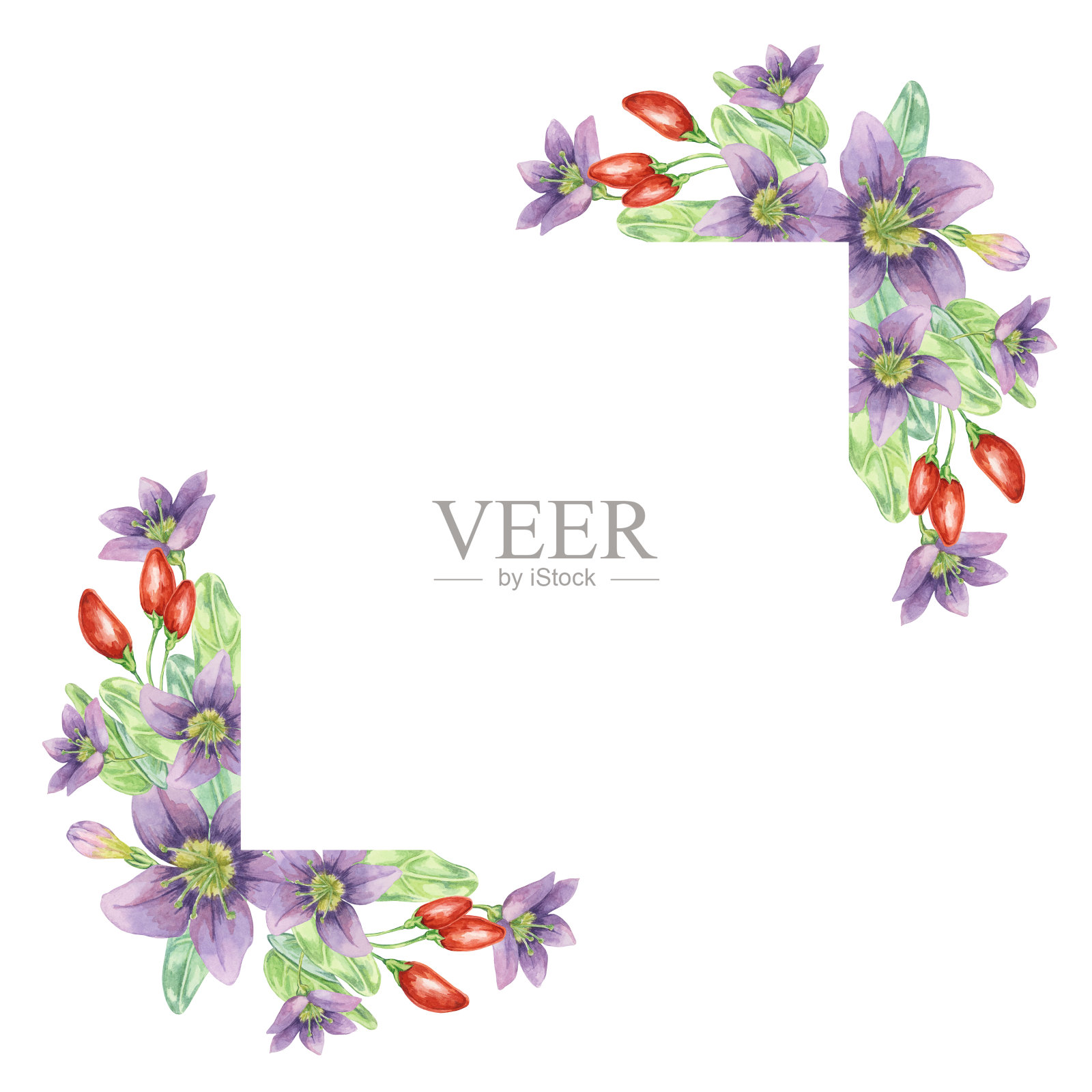 红枸杞，丁香花，绿叶，角框设计。手绘水彩插图剪贴簿，卡片，报价，标签，标签插画图片素材