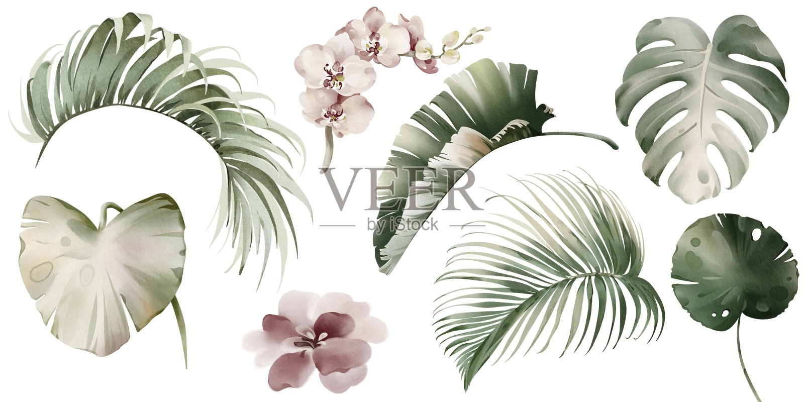 热带水彩树叶和花朵。插画图片素材