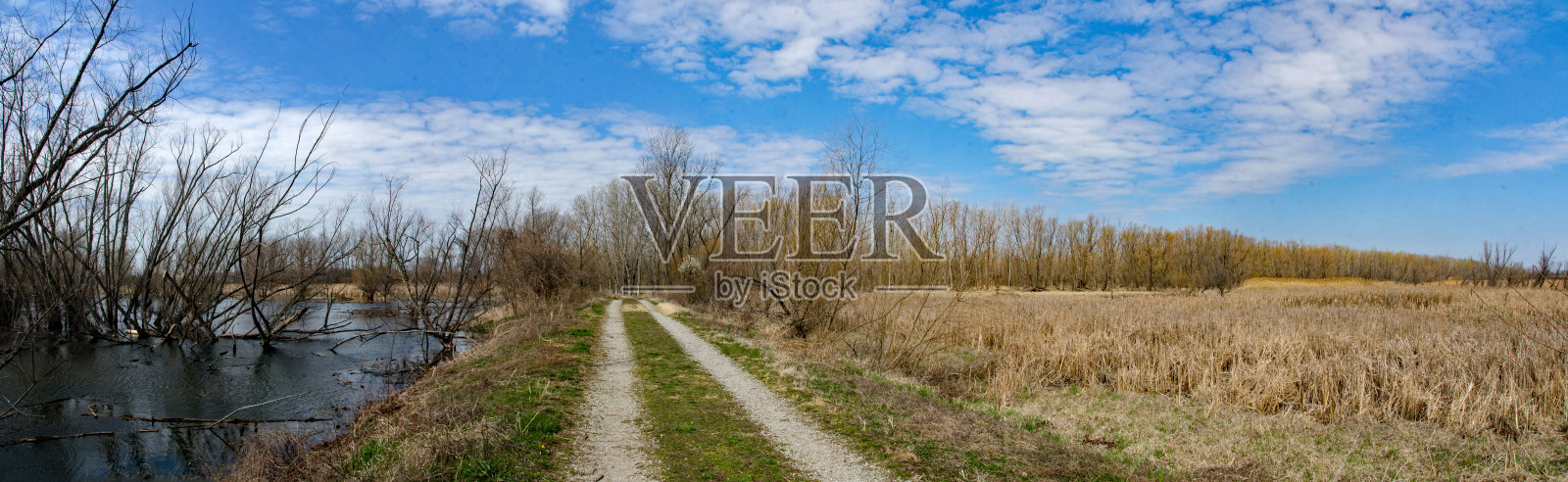 小溪谷沼泽-道路区分水和田-全景照片摄影图片