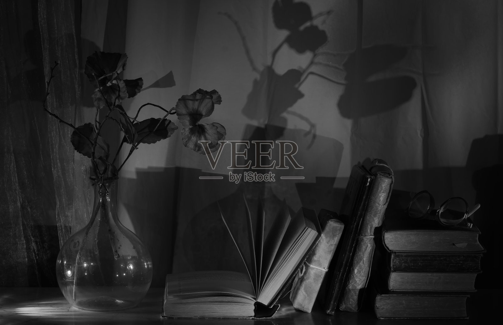 书中有玻璃花瓶和静物花，黑白相间，有读书、教育、知禅的概念。照片摄影图片