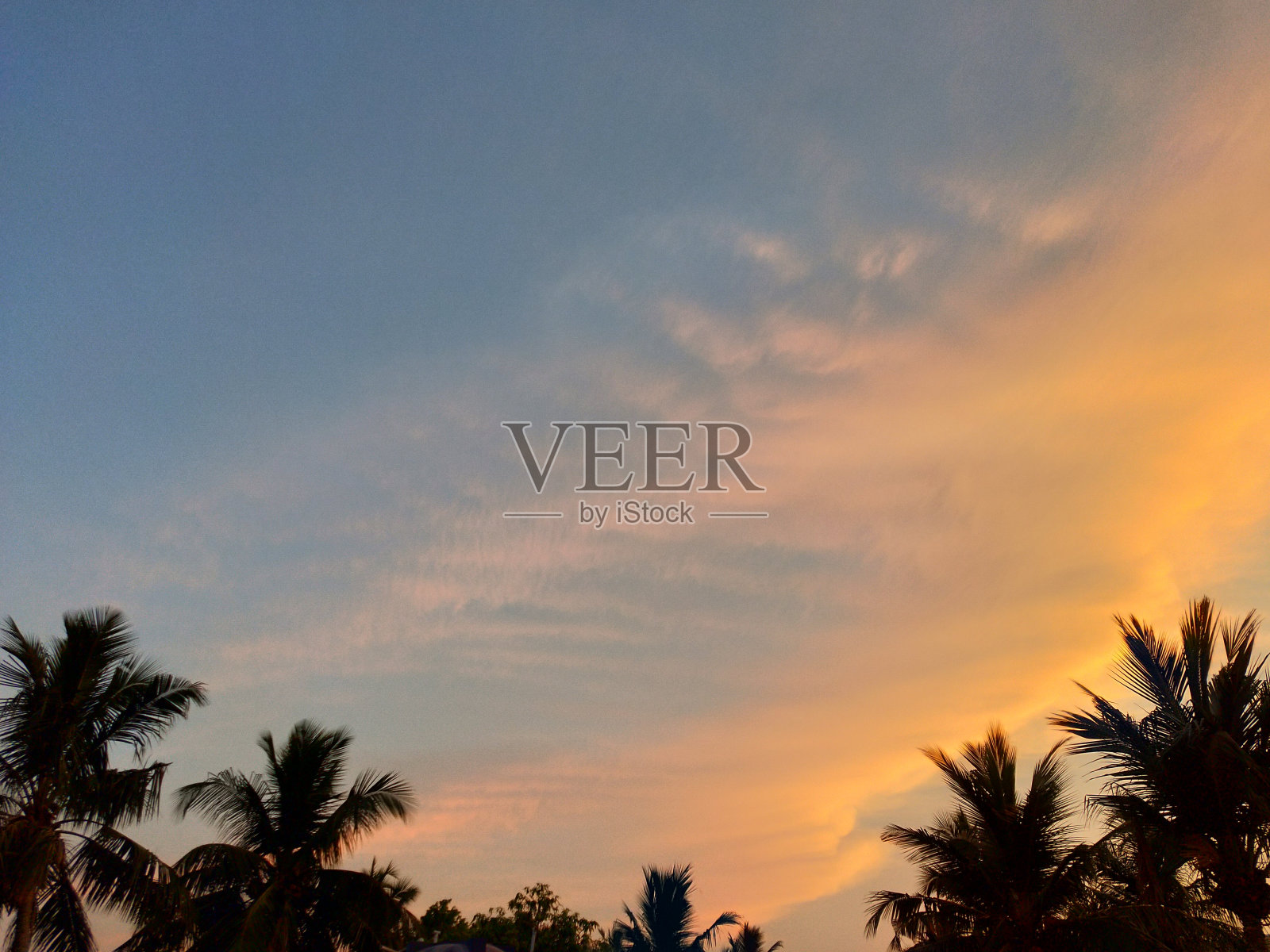 艺术的云朵漂浮在一群椰子树上照片摄影图片