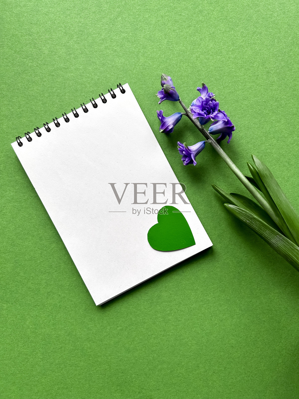 地球日，4月22日，记事本，绿色纸心和绿色背景上的风信子花，留出文字空间照片摄影图片