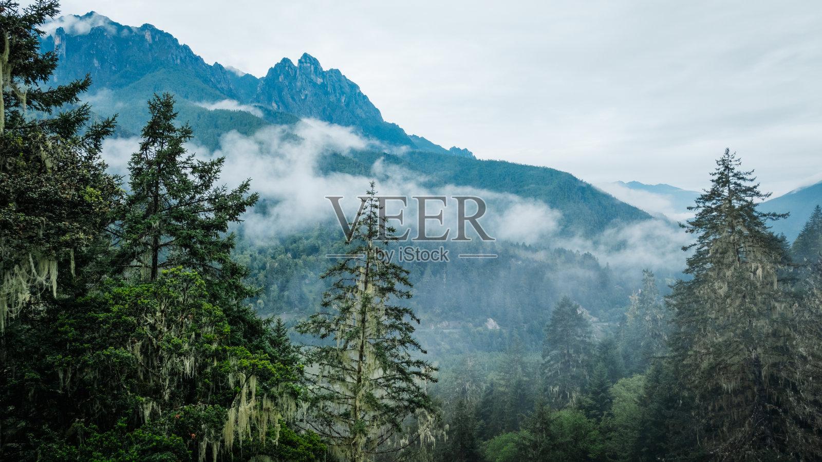 鸟瞰美丽的高海拔森林山地景观照片摄影图片