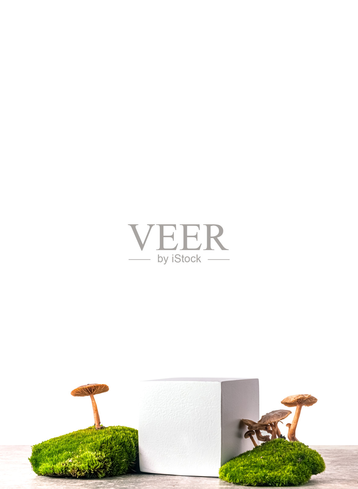 白色的立方讲台与绿色的苔藓和蘑菇隔离在一个白色。静物为产品介绍。林地装饰和自然风格。照片摄影图片