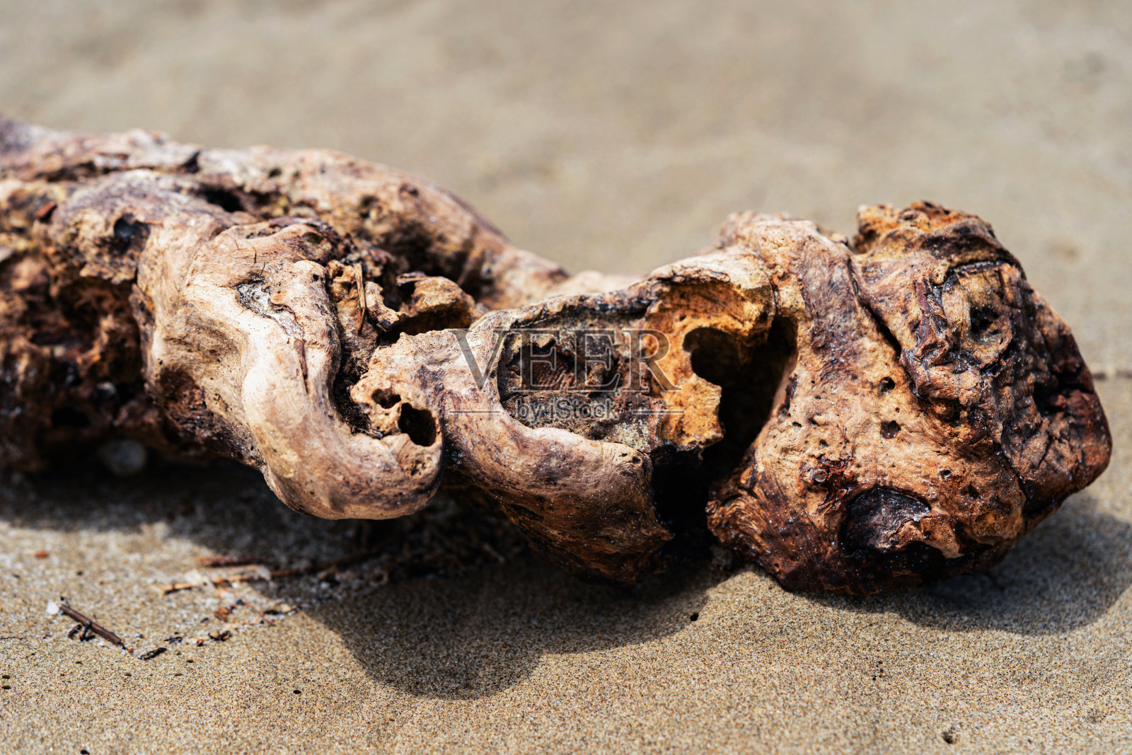 经过海洋多年加工的美丽浮木照片摄影图片