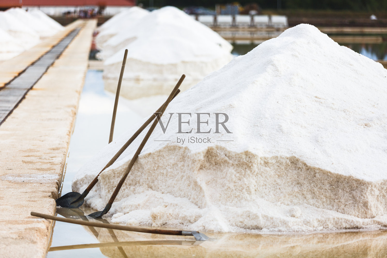 在宁市收获海盐照片摄影图片