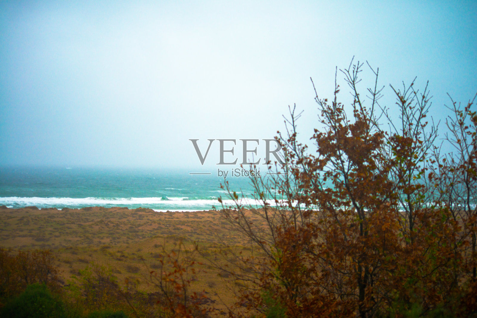 雾吻蓝:迷雾海洋上的宁静照片摄影图片