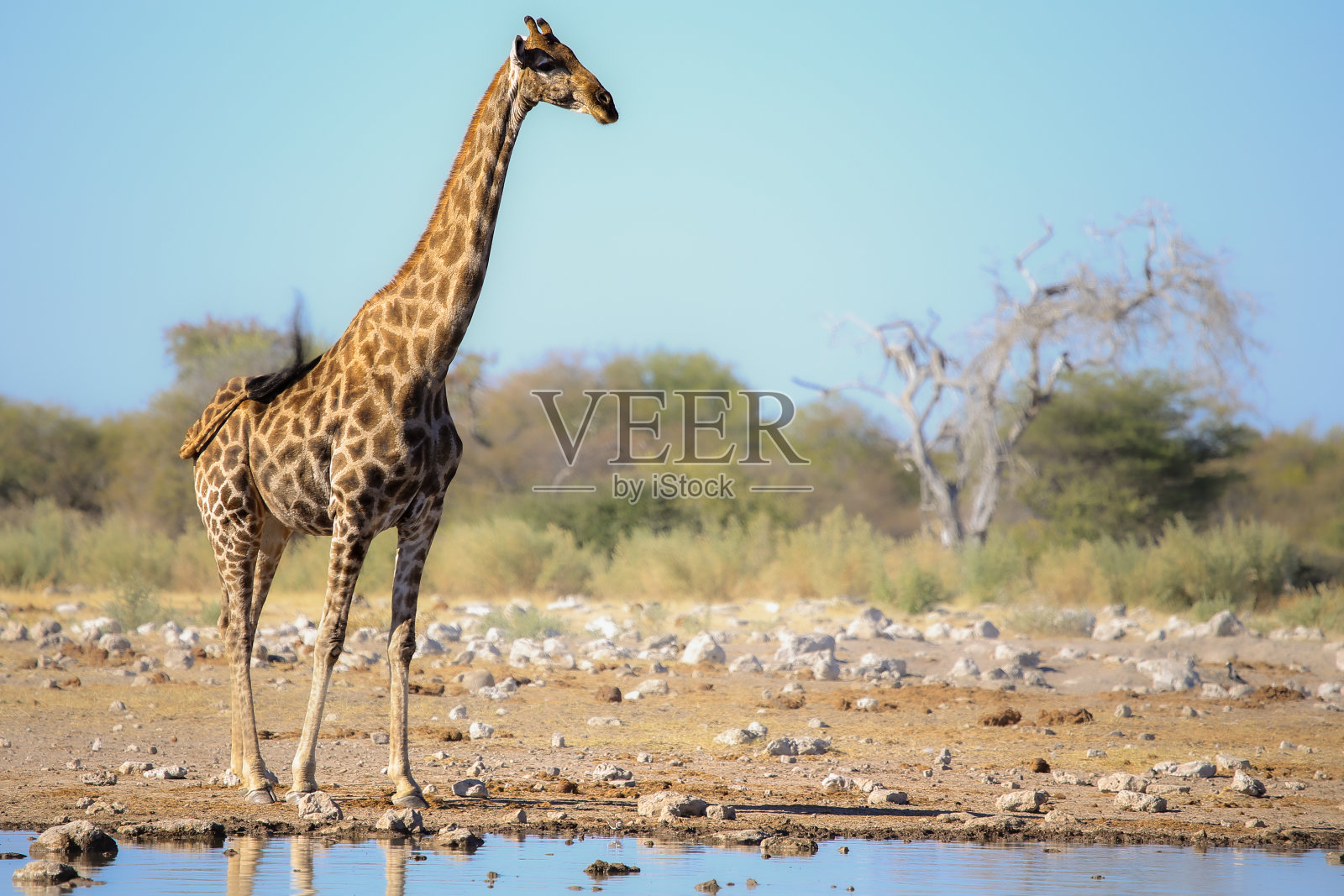 穿越非洲南部的公路旅行照片摄影图片