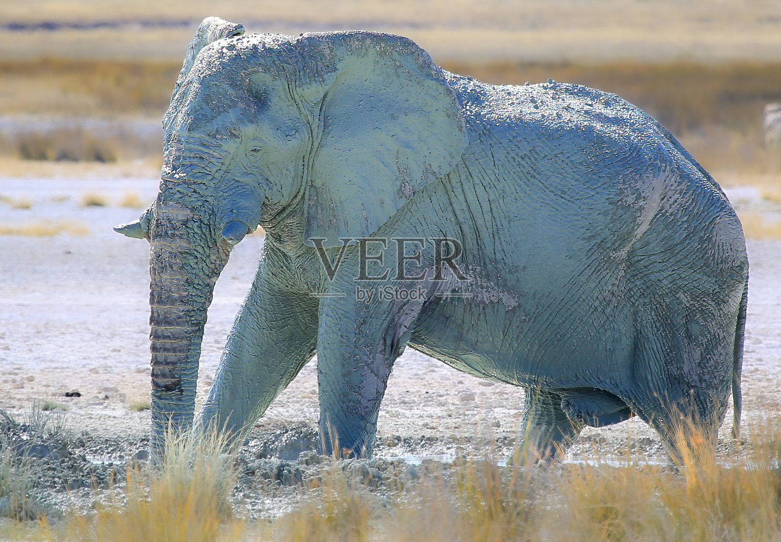 穿越非洲南部的公路旅行照片摄影图片