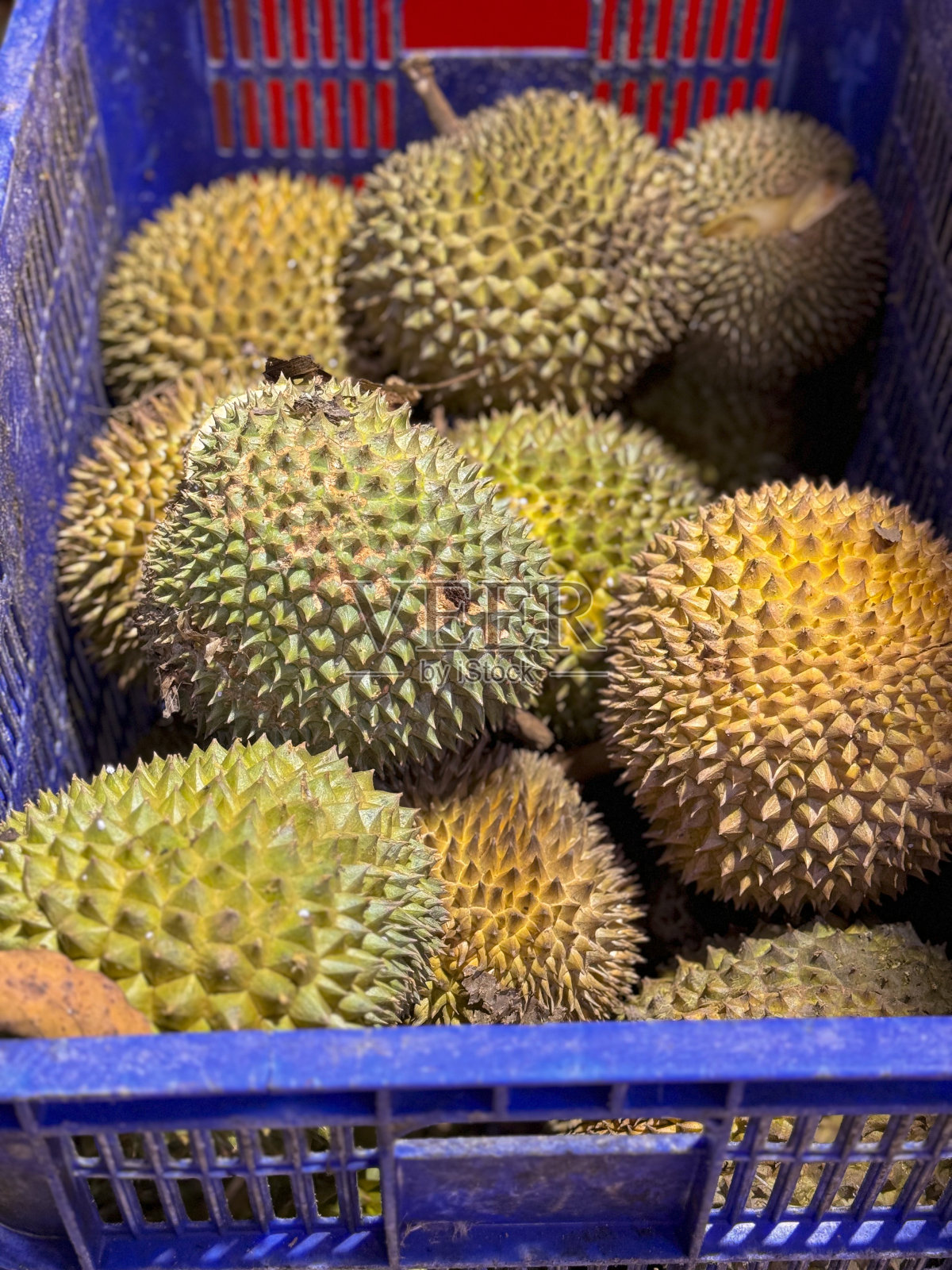 榴莲照片摄影图片