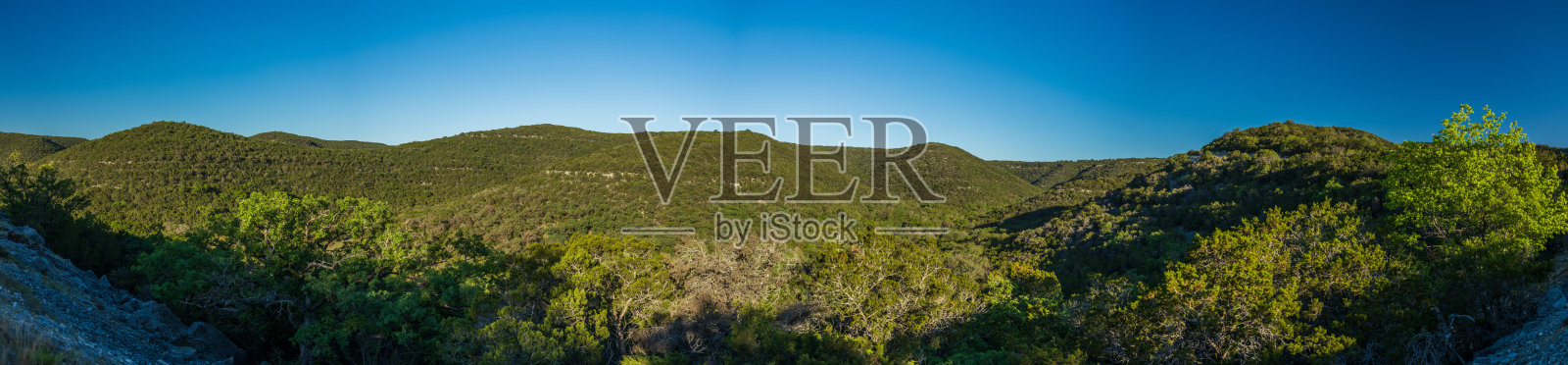 清晨的森林，连绵起伏的山丘，湛蓝的天空照片摄影图片