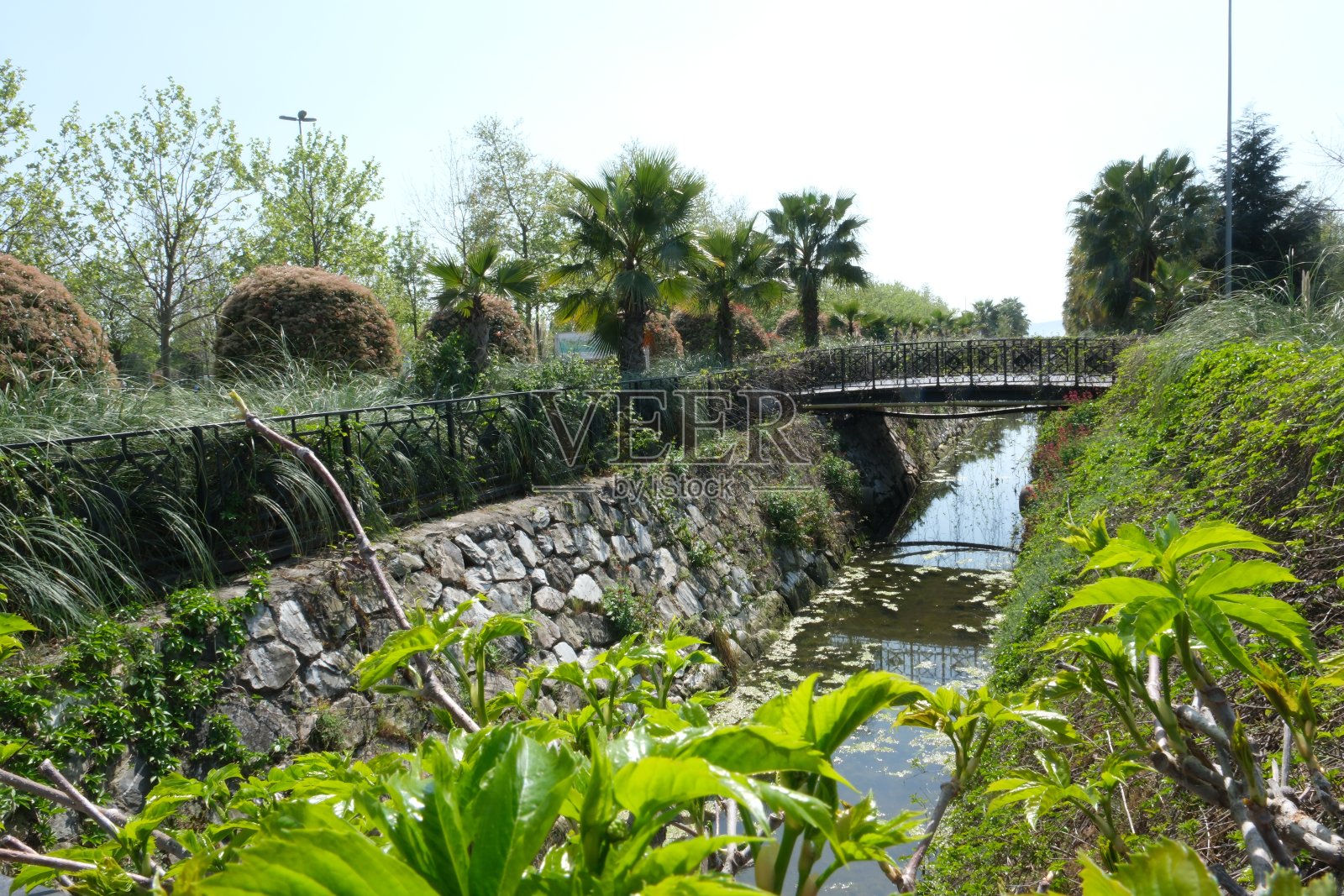 一个被大自然包围的周末照片摄影图片