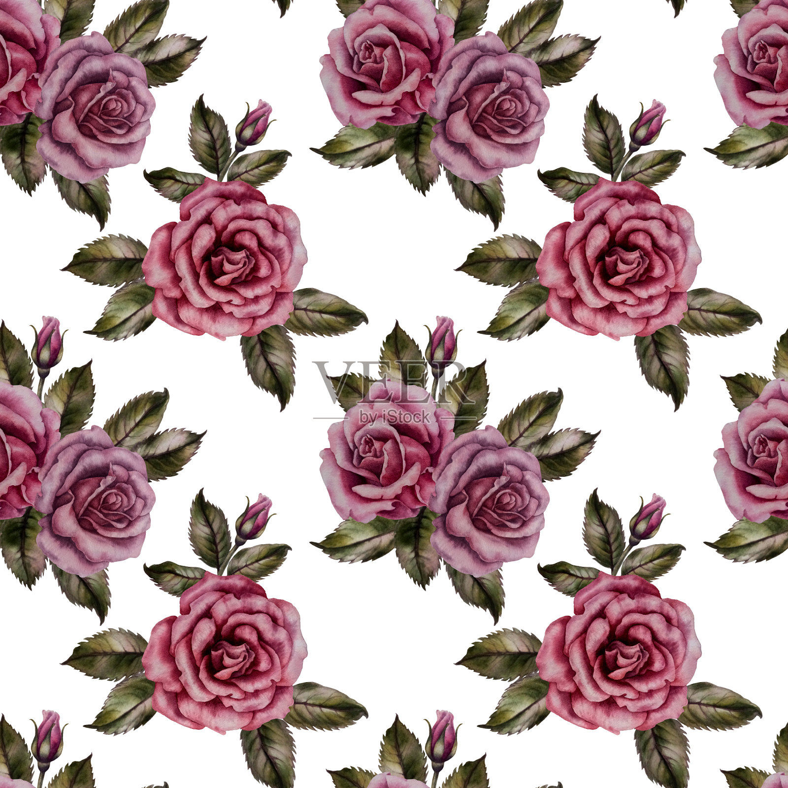 无缝花卉图案的粉红色粉玫瑰作为水彩插图在复古风格的婚礼，生日，情人节，母亲节，纺织品，床上用品，包装，剪贴簿，包装，卡片插画图片素材