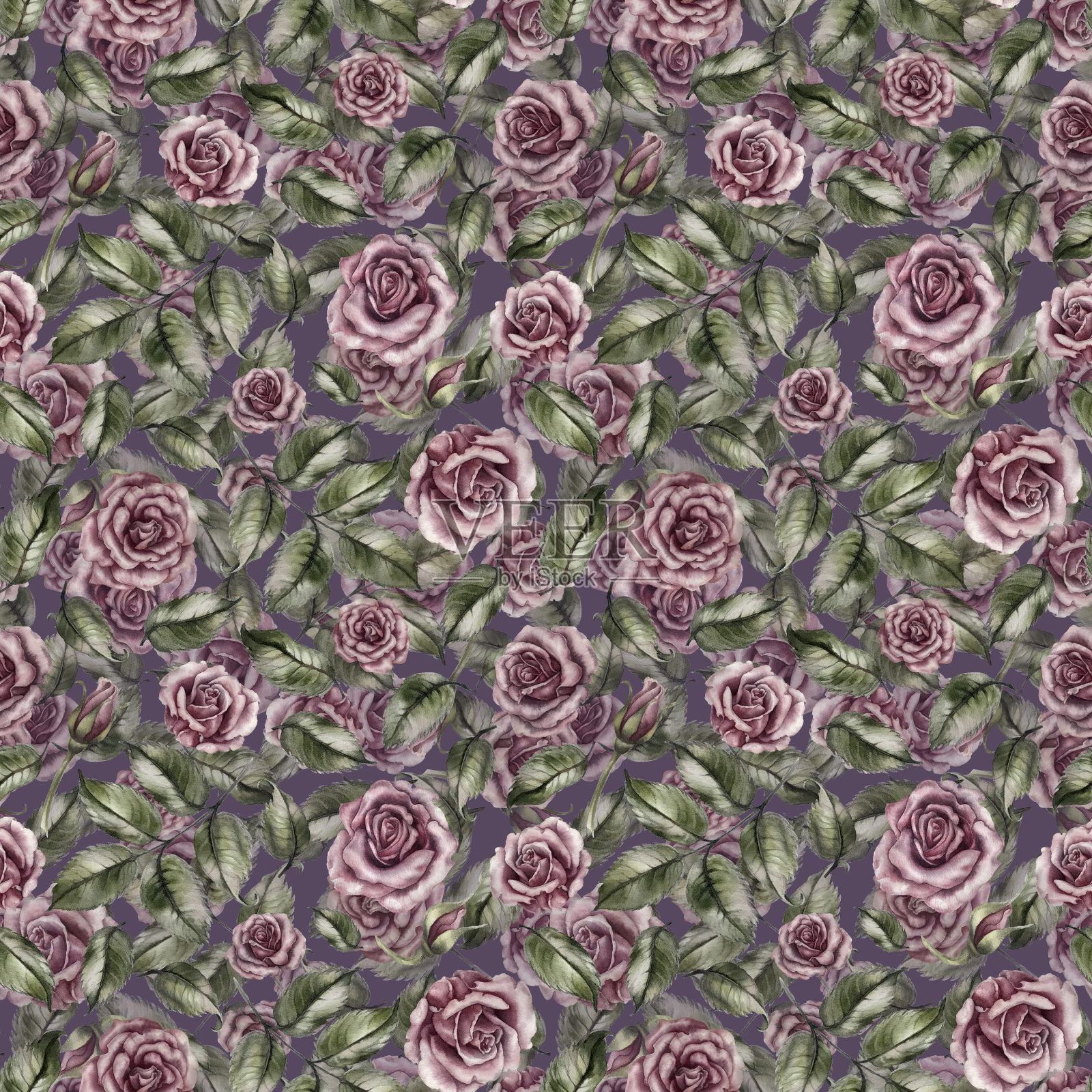 无缝花卉图案的粉红色粉玫瑰作为水彩插图在复古风格的婚礼，生日，情人节，母亲节，纺织品，床上用品，包装，剪贴簿，包装，卡片插画图片素材