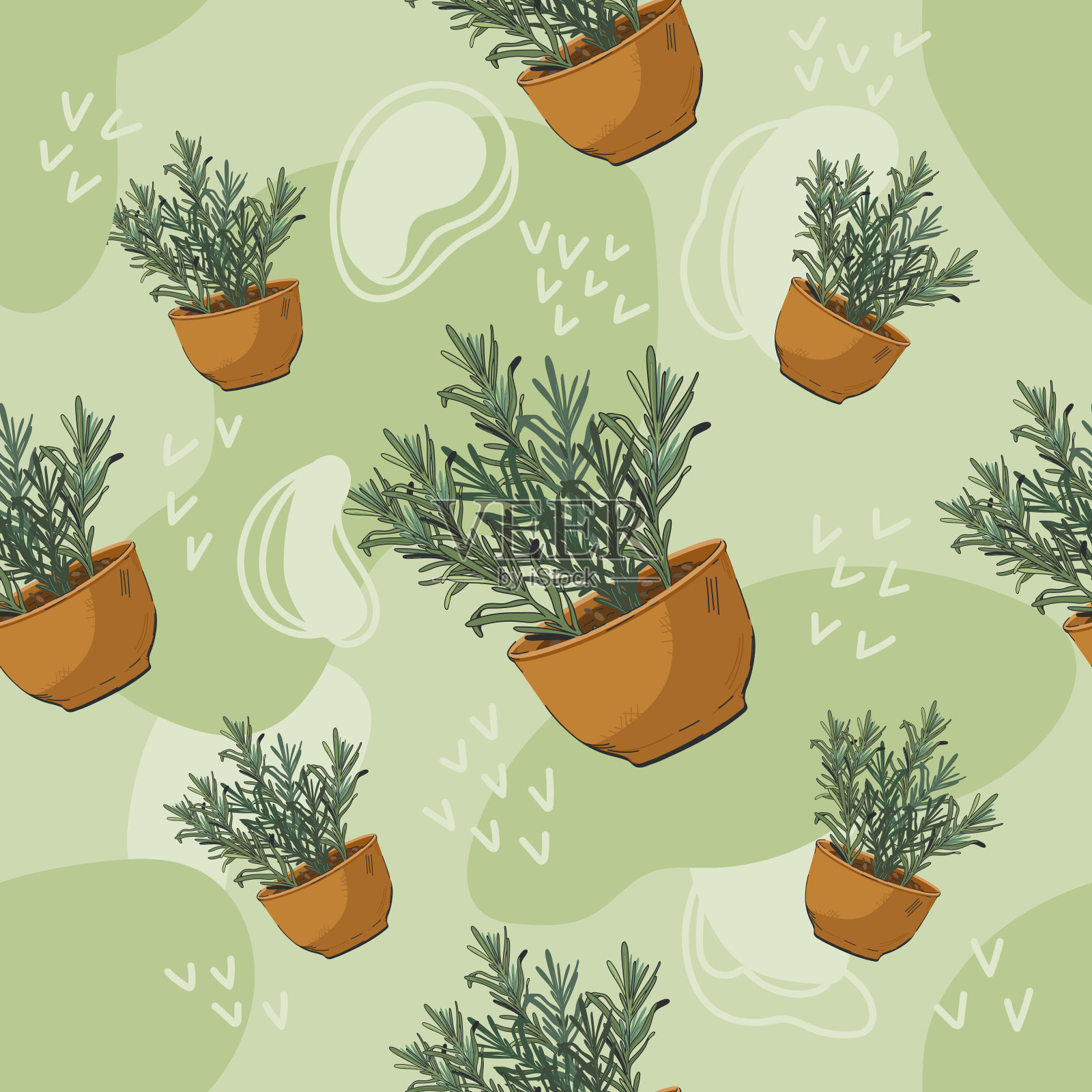 以迷迭香为特色的无缝图案，非常适合食品包装。插画图片素材