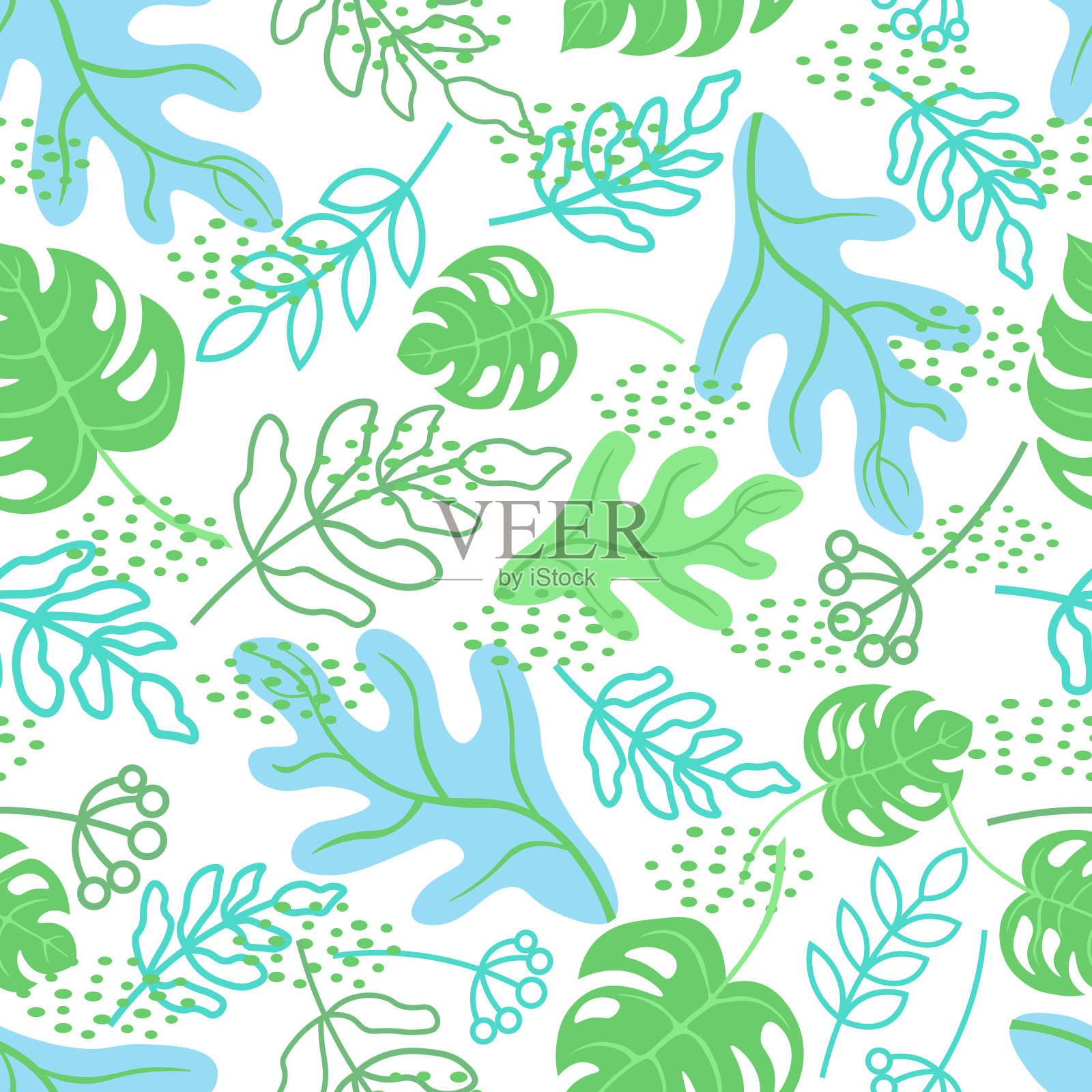 热带树叶，白色背景。插画图片素材