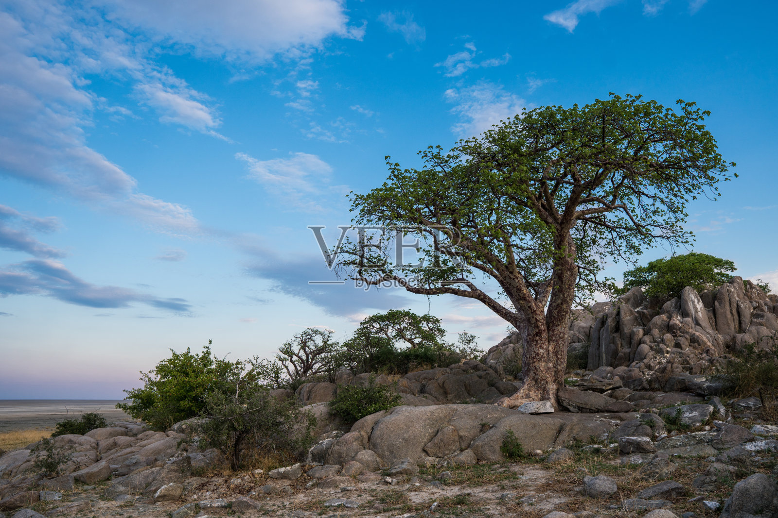 库布岛，博茨瓦纳照片摄影图片