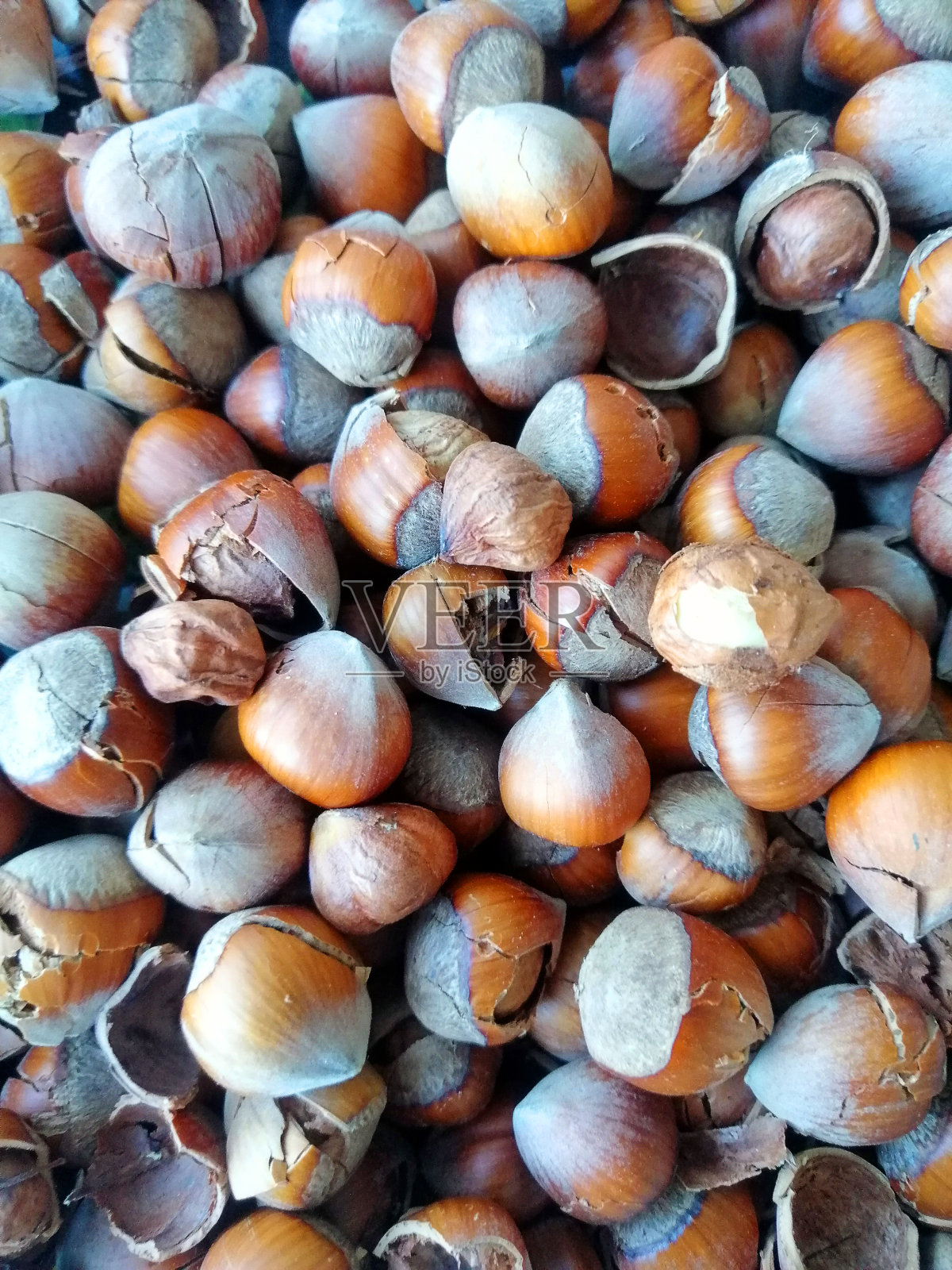 自然榛子照片摄影图片