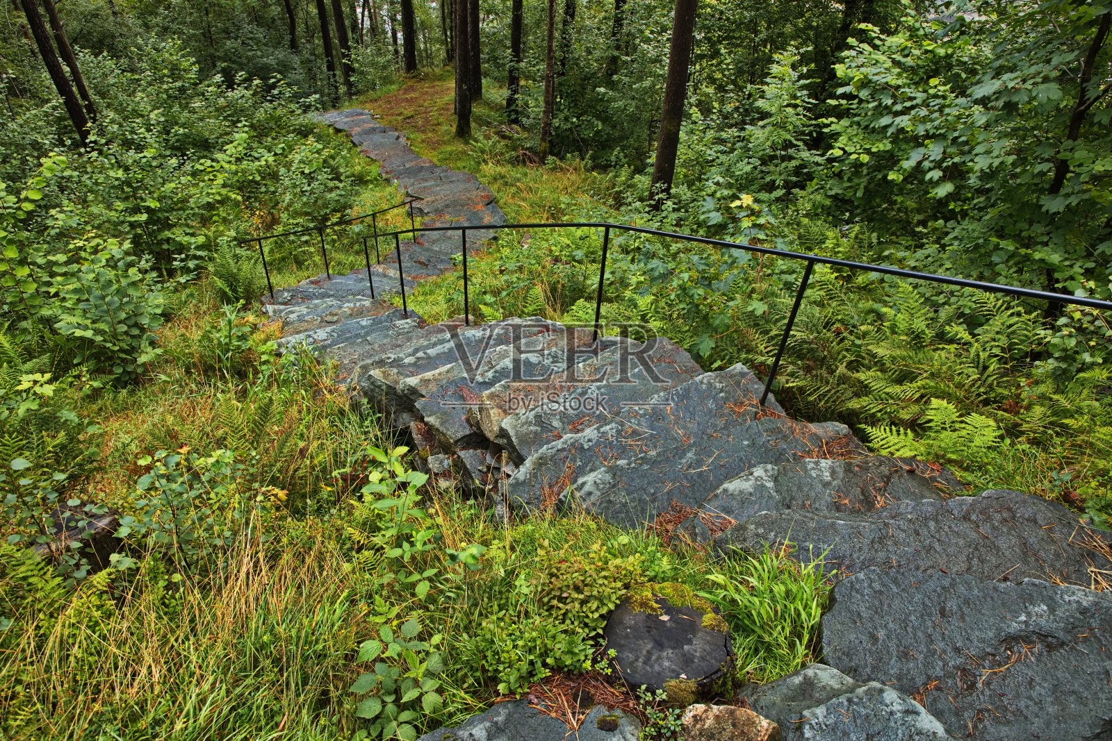 远足路线到瀑布斯旺达尔福森在风景秀丽的路线在挪威，欧洲照片摄影图片